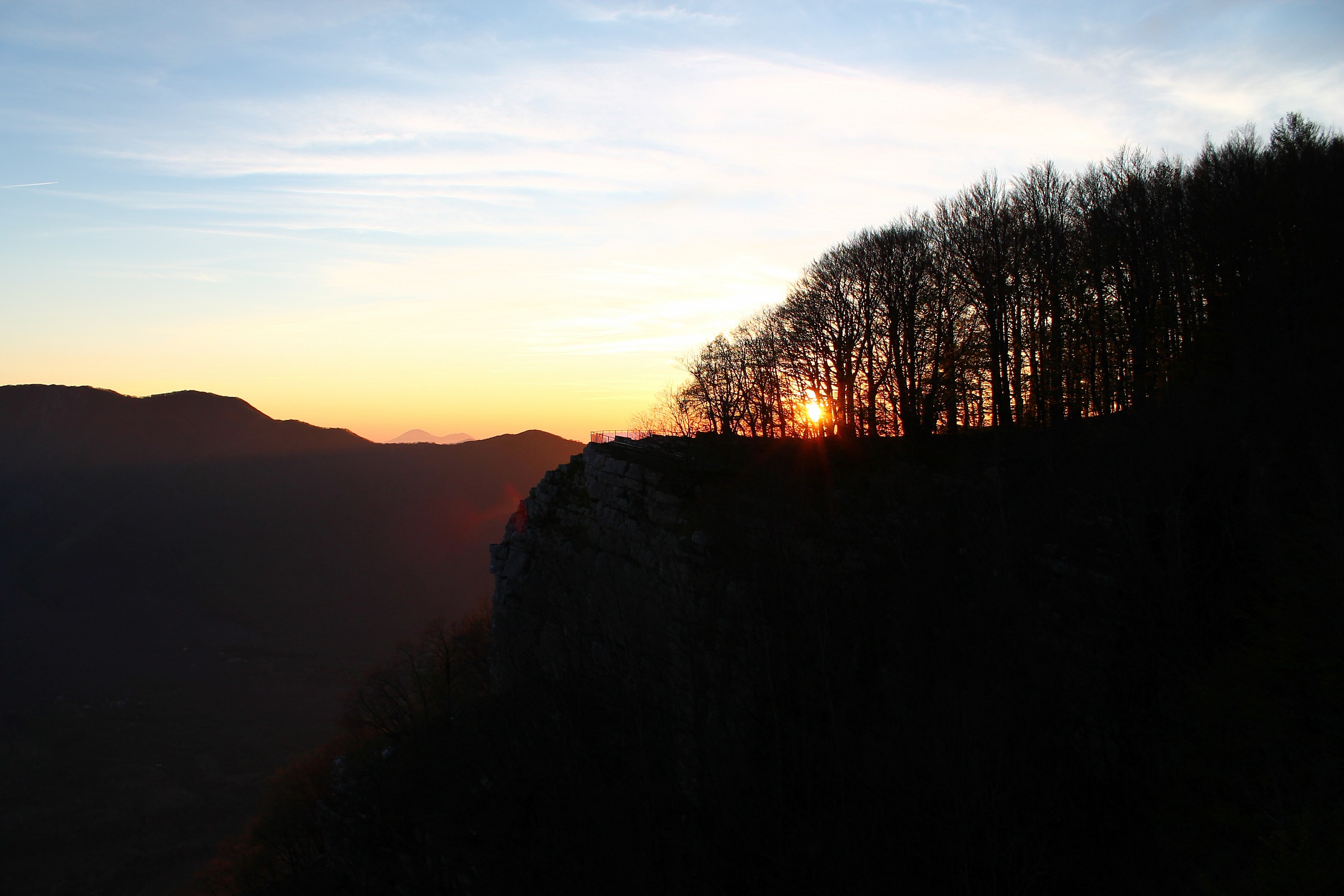 Sunset between trees