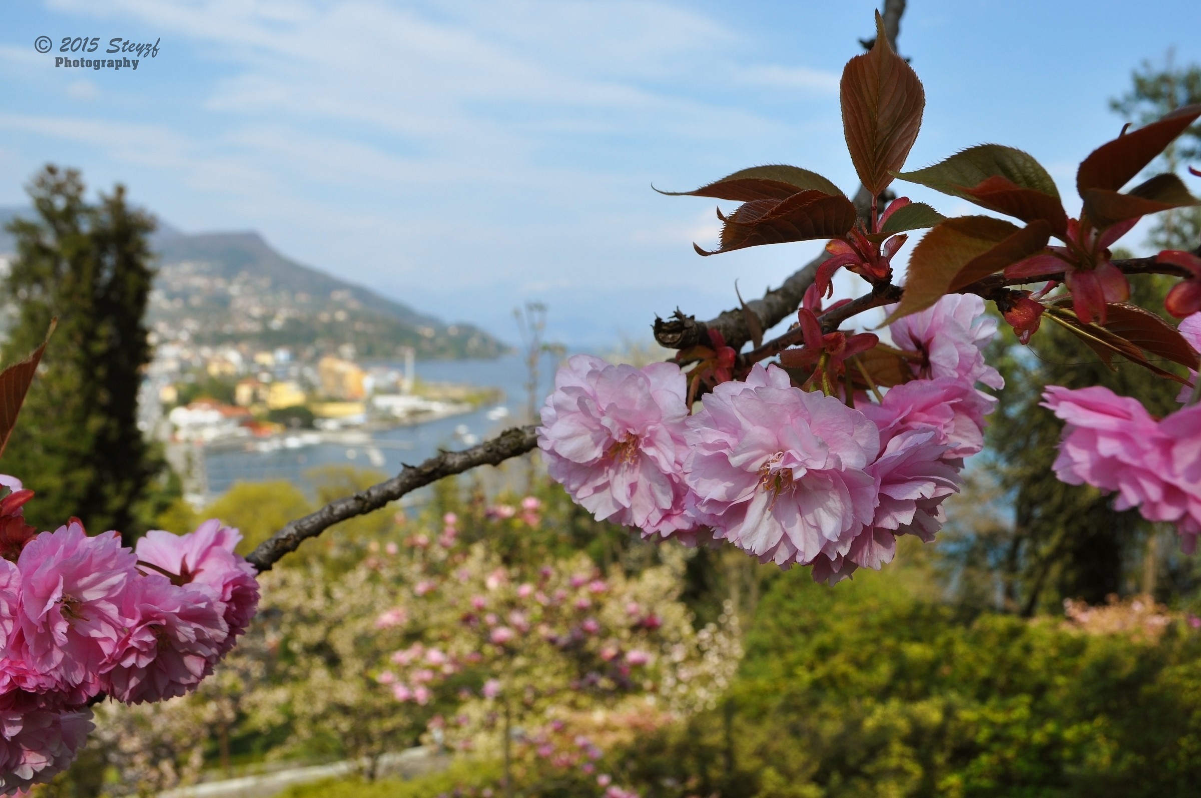 View of Lake Maggiore