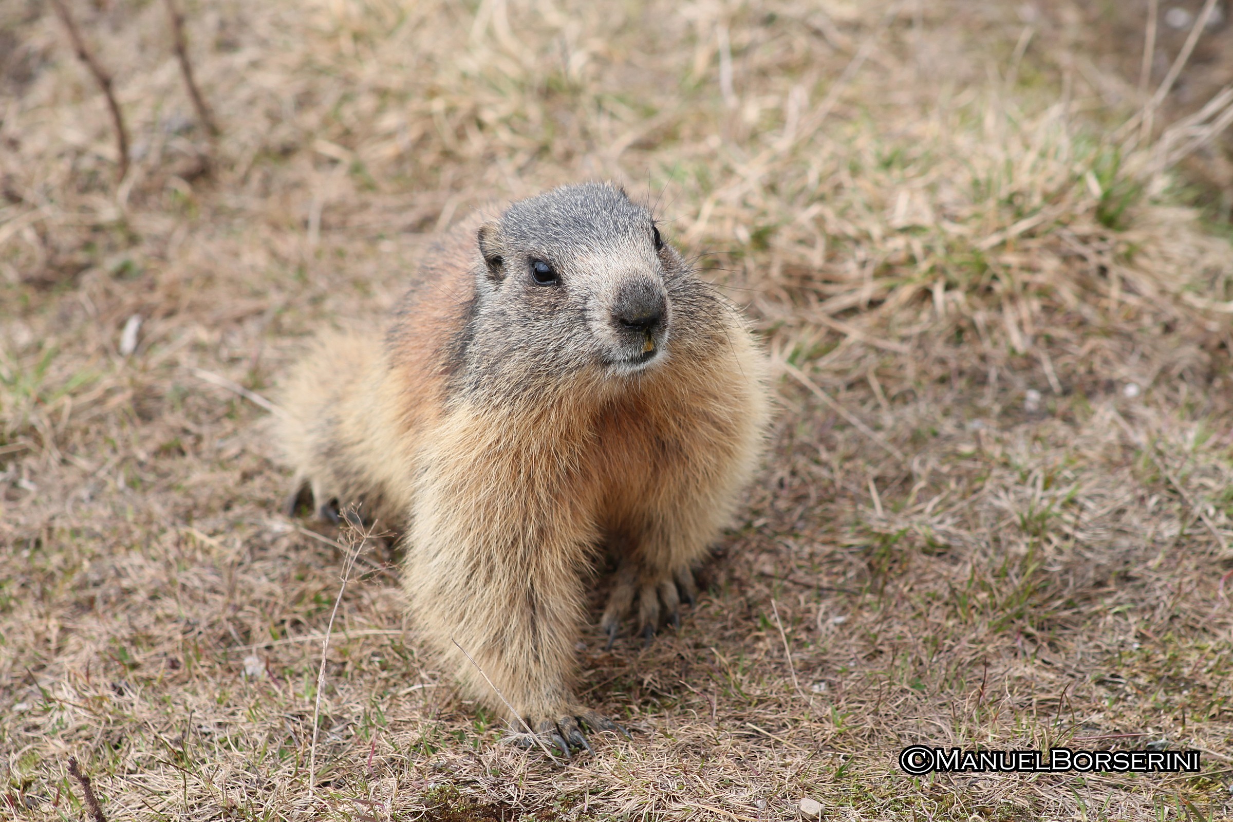 Forse un po troppo incuriosito ....