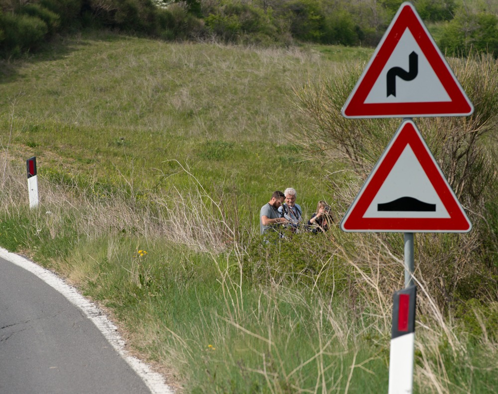 They were everywhere