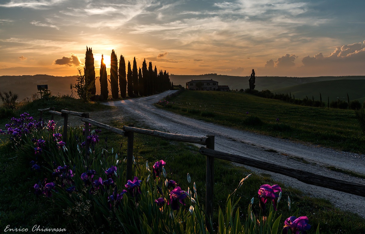A sunset in good company