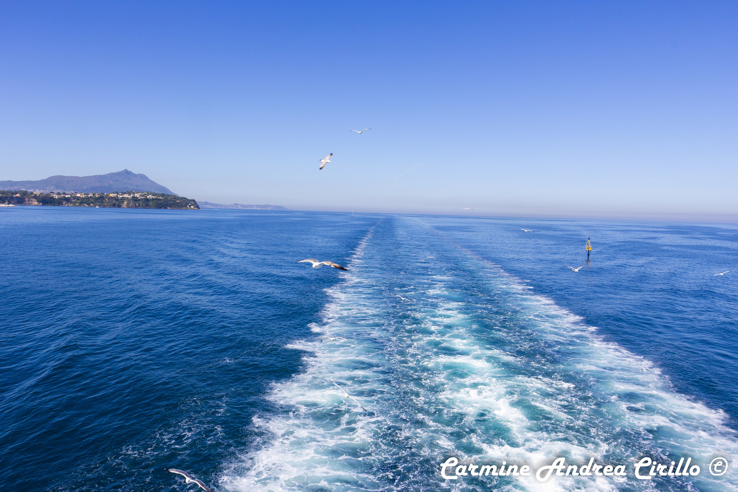 Scia del traghetto del ritorno accompagnati da gabbiani
