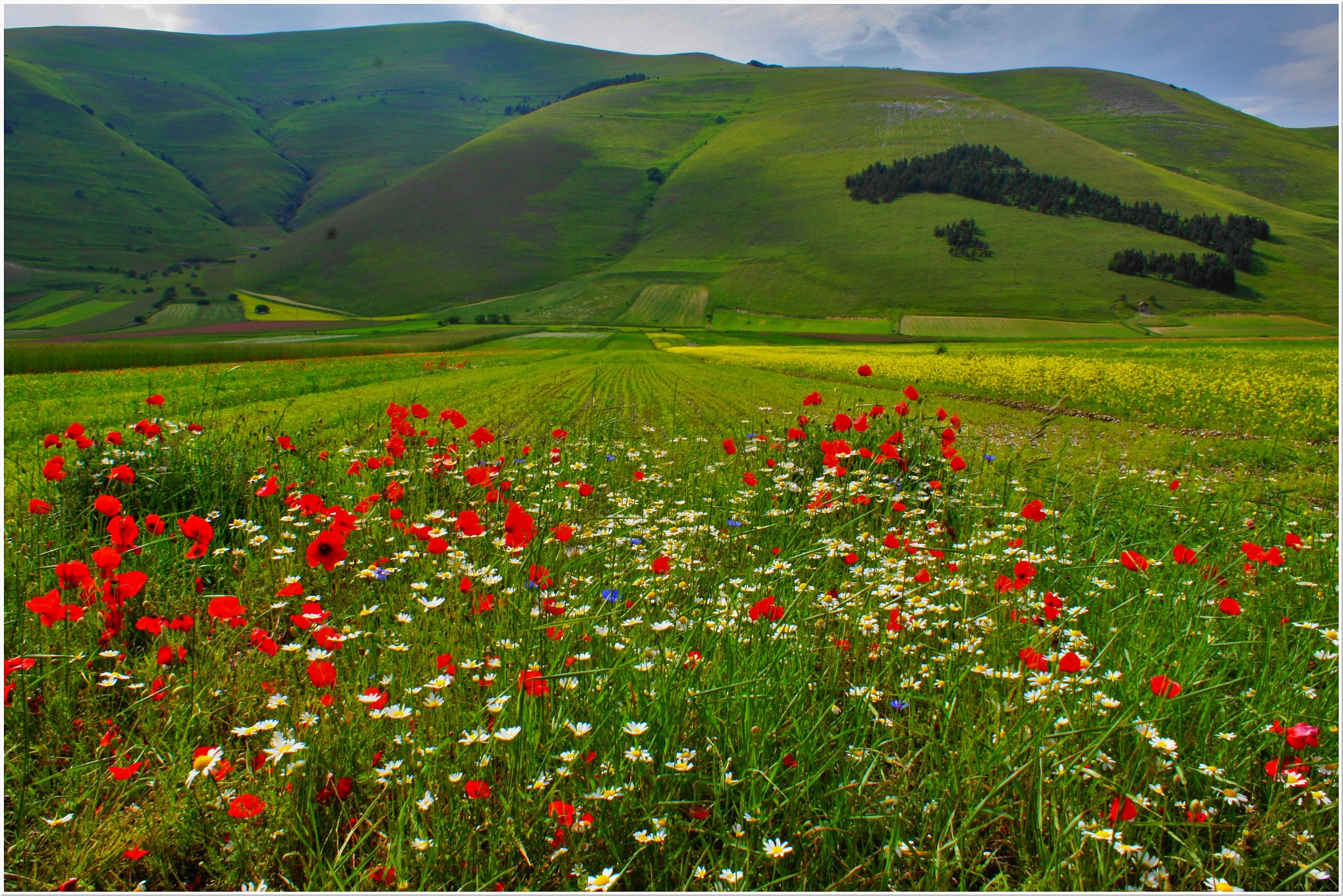 Castelluccio (Sony 450)