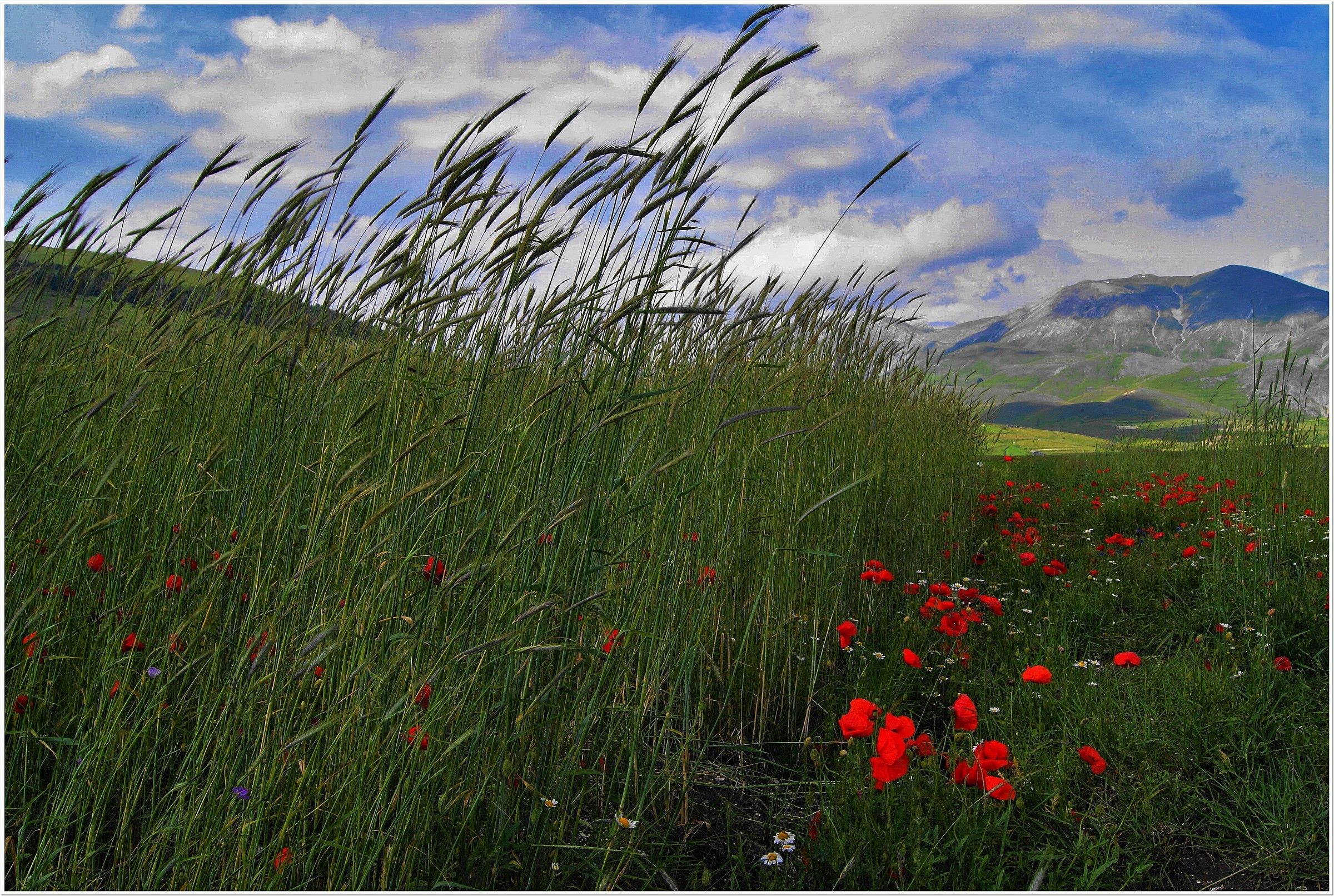 Castelluccio