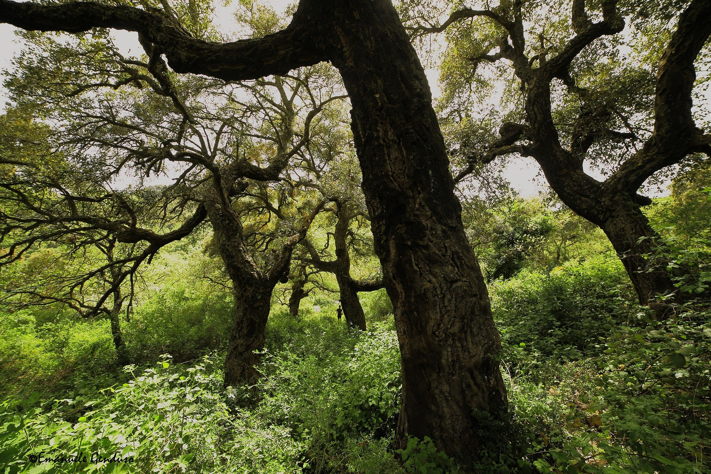 Nel mezzo del cammin..