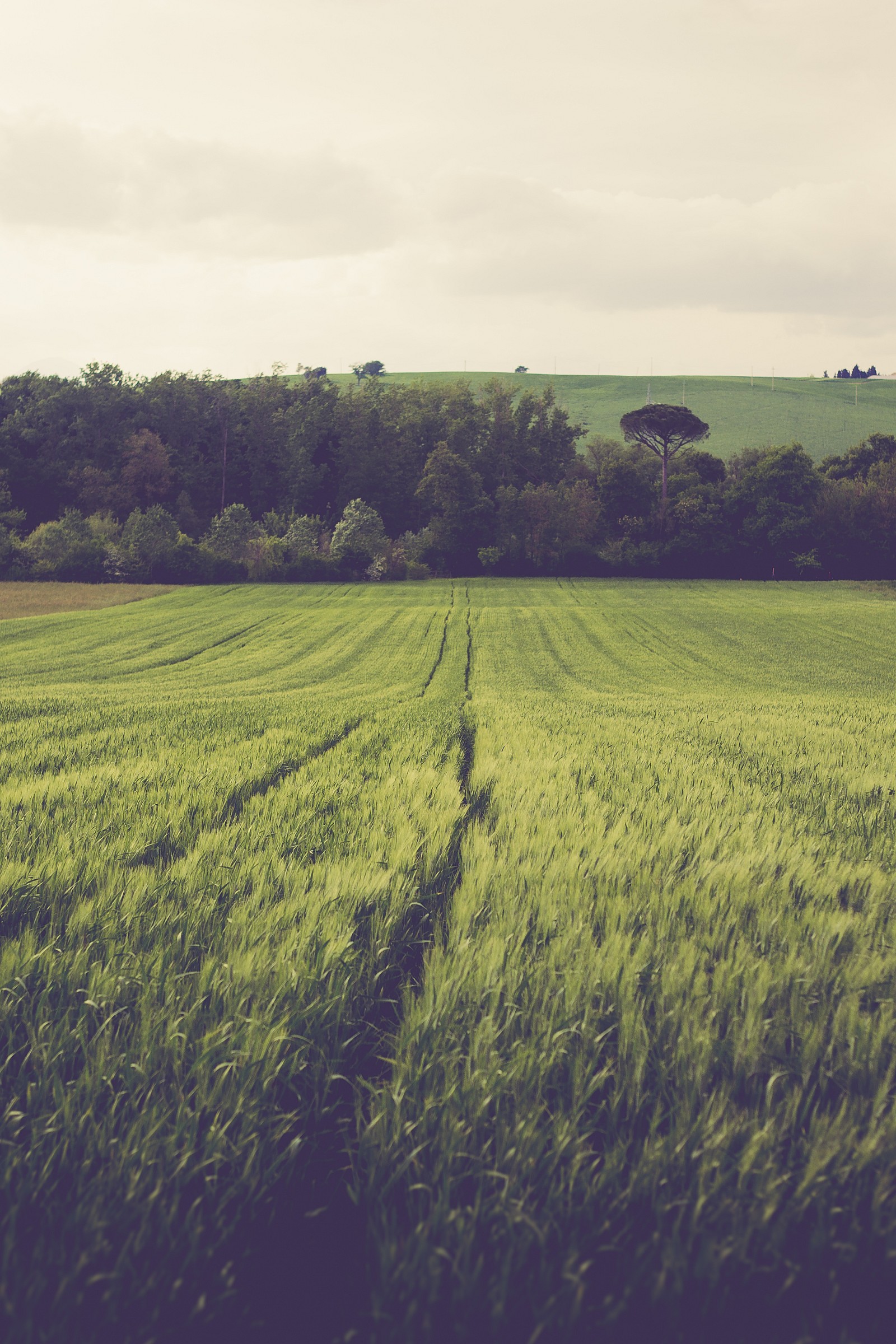 La malinconica visione della vita in un quadro reale