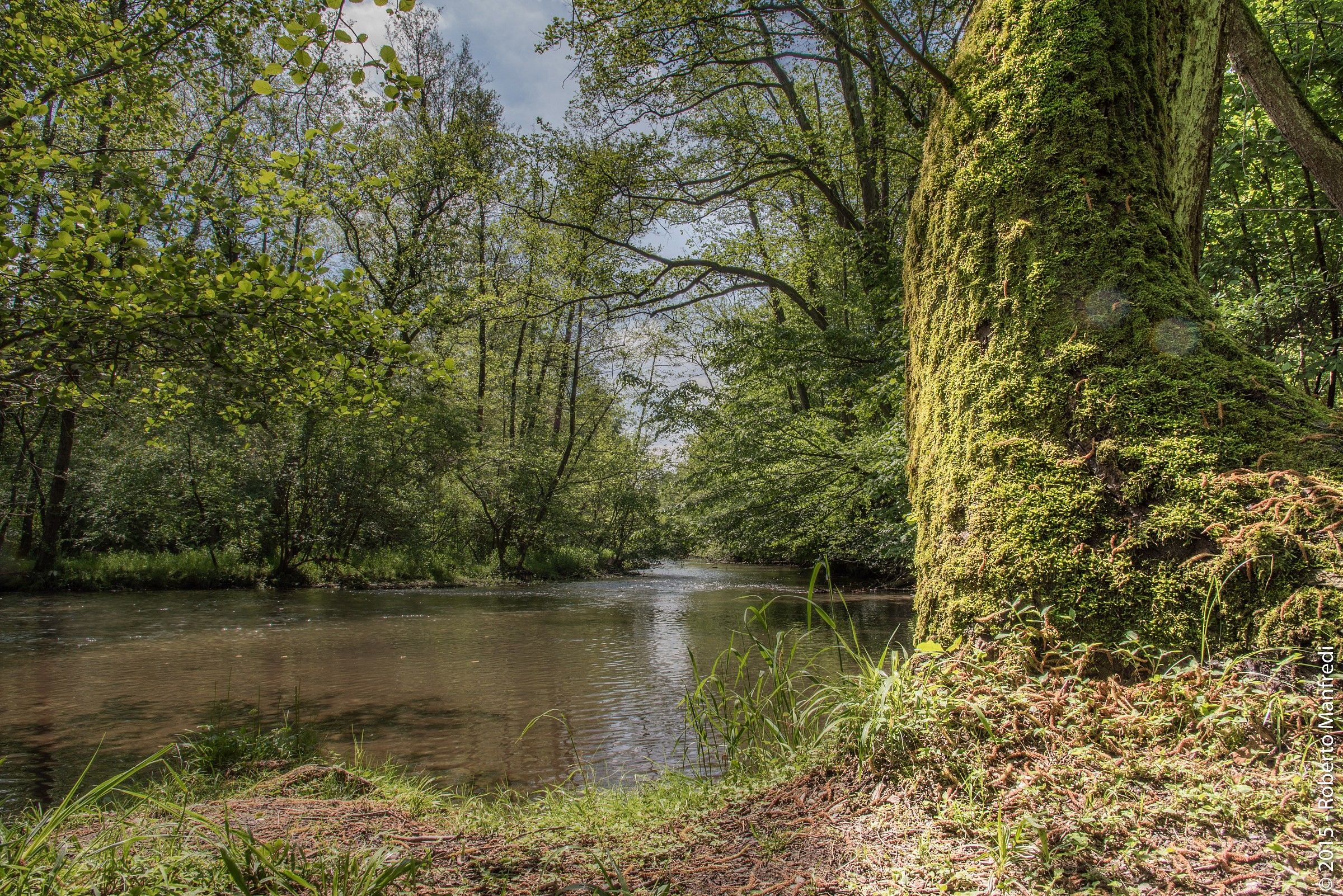 Missing in the Parco del Ticino