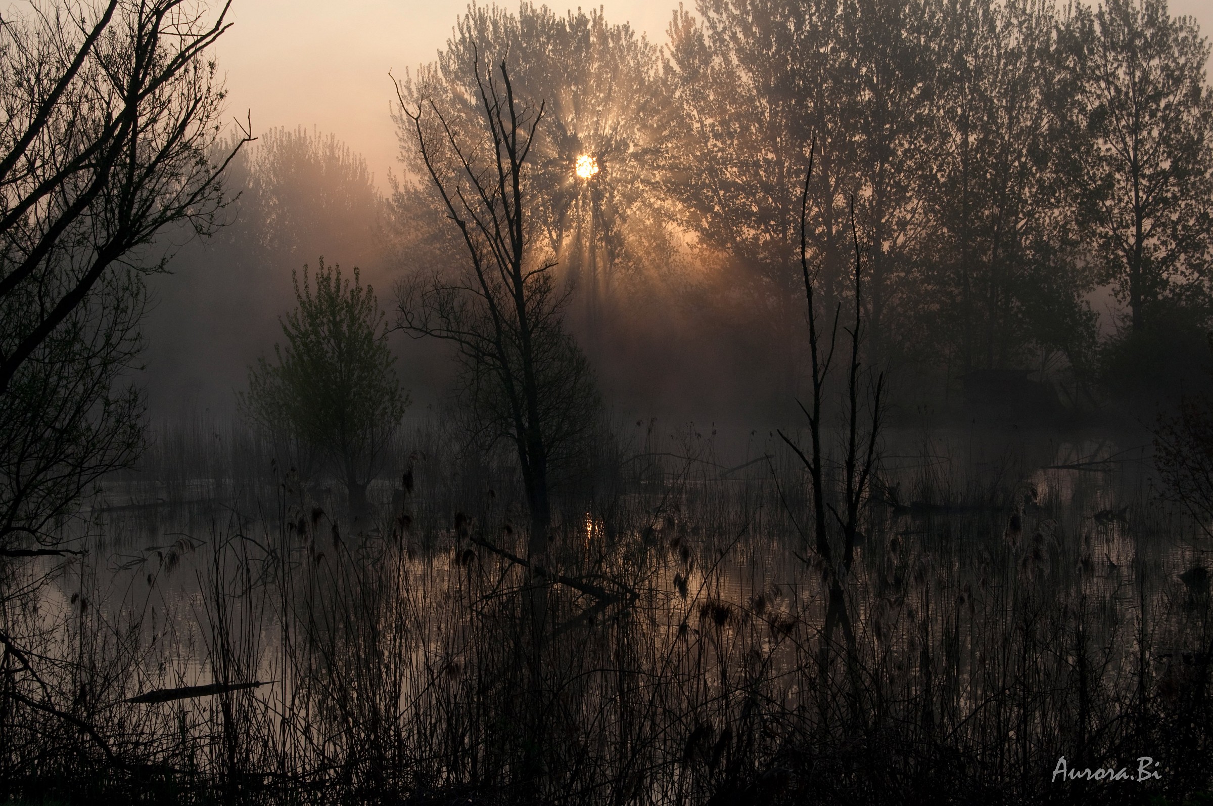 I primi raggi di sole