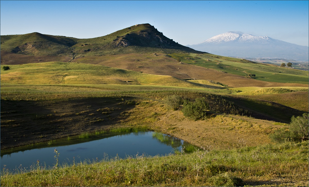 afternoon Sicilian current