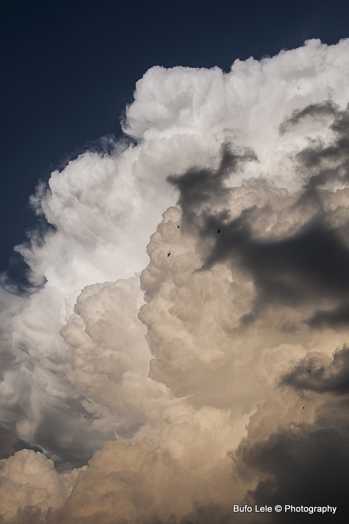 Chi giocava a cercare le forme nelle nuvole?..