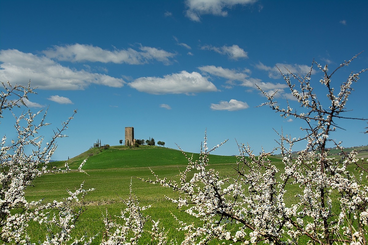 Di bianco vestita...