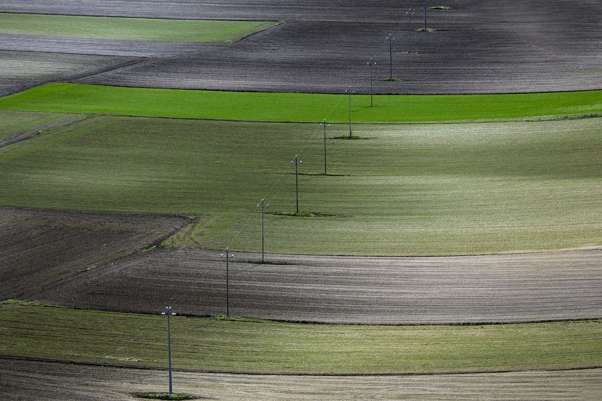 ... A light on the next bloom!