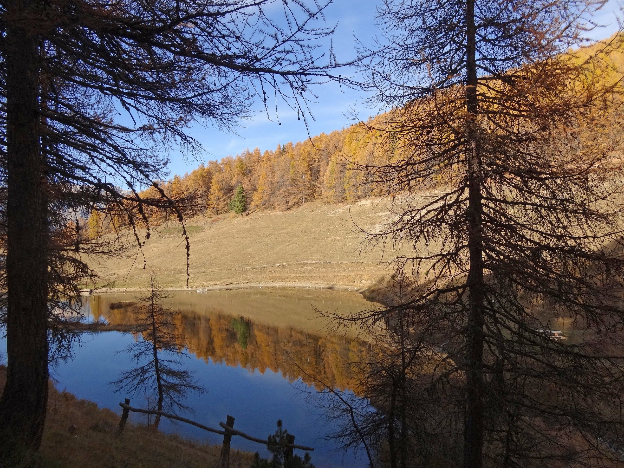Colori d'autunno