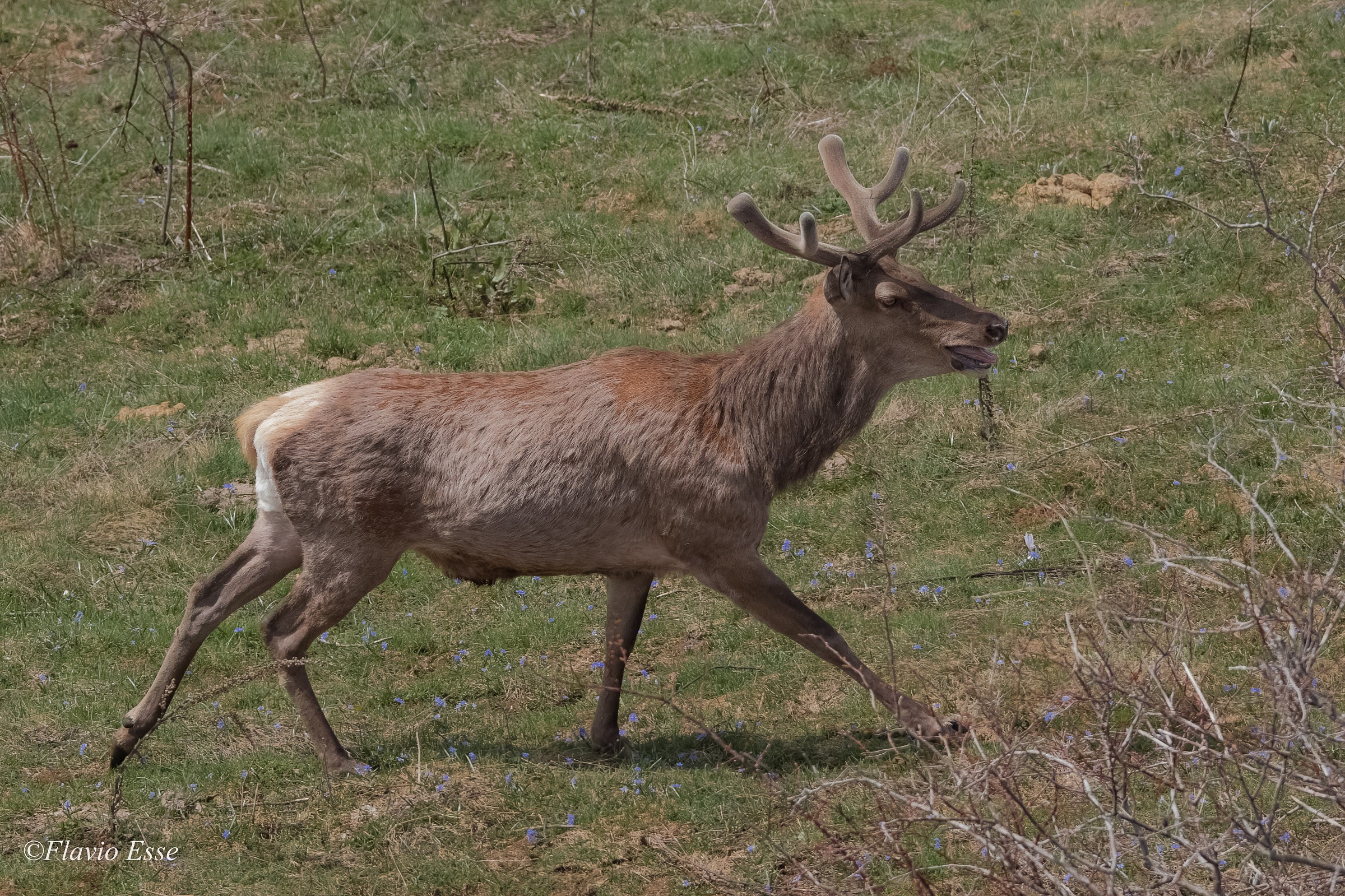 Sono molto vicino....