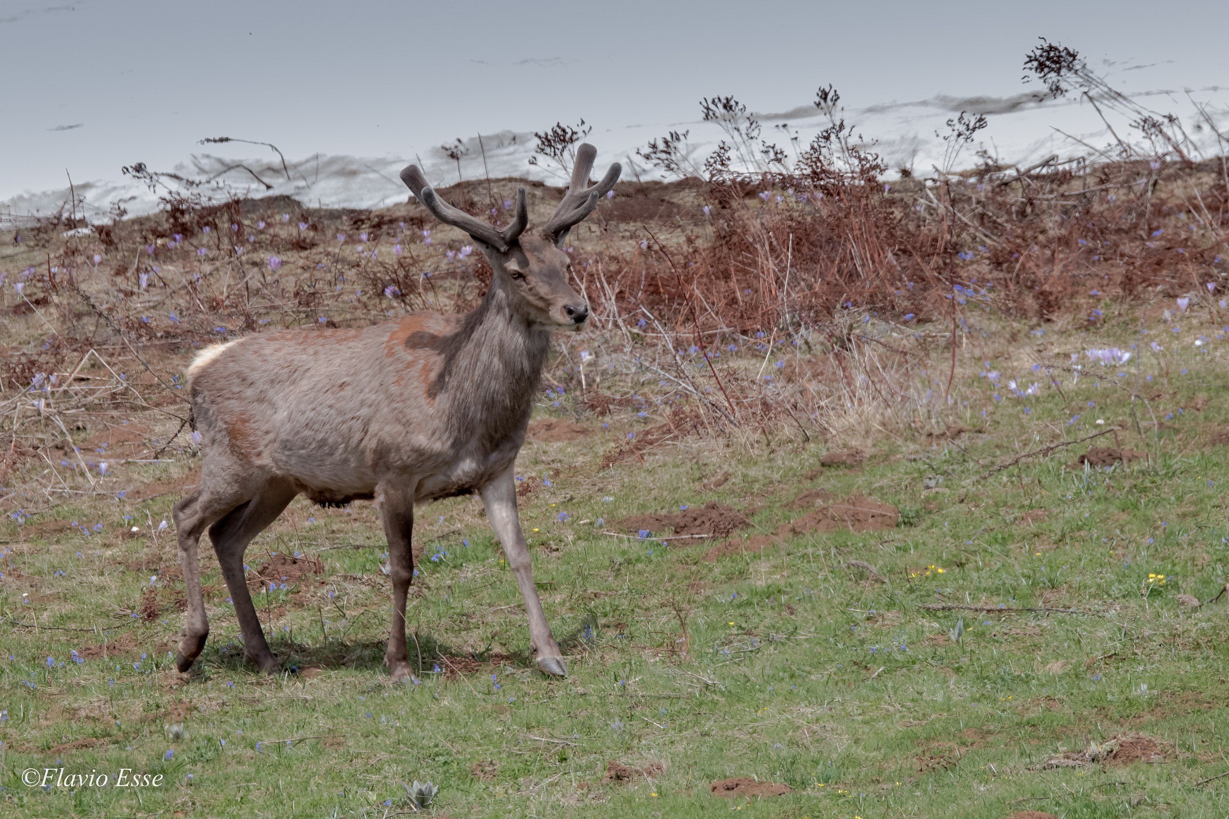 Check del territorio