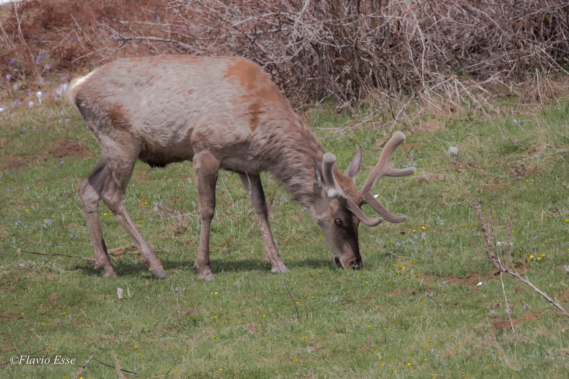 Ancora un attimo di relax