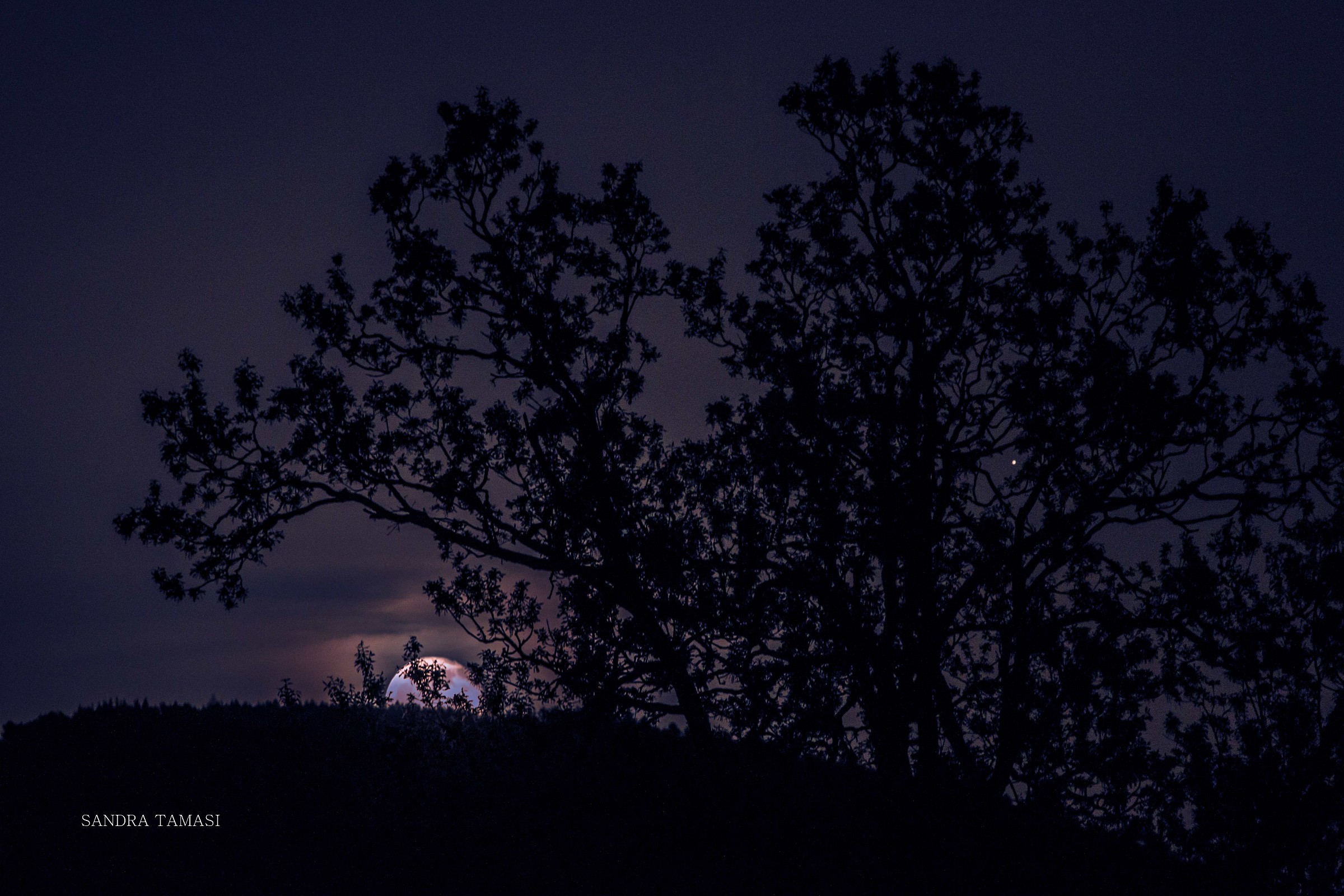 Check the Moon from Mt.