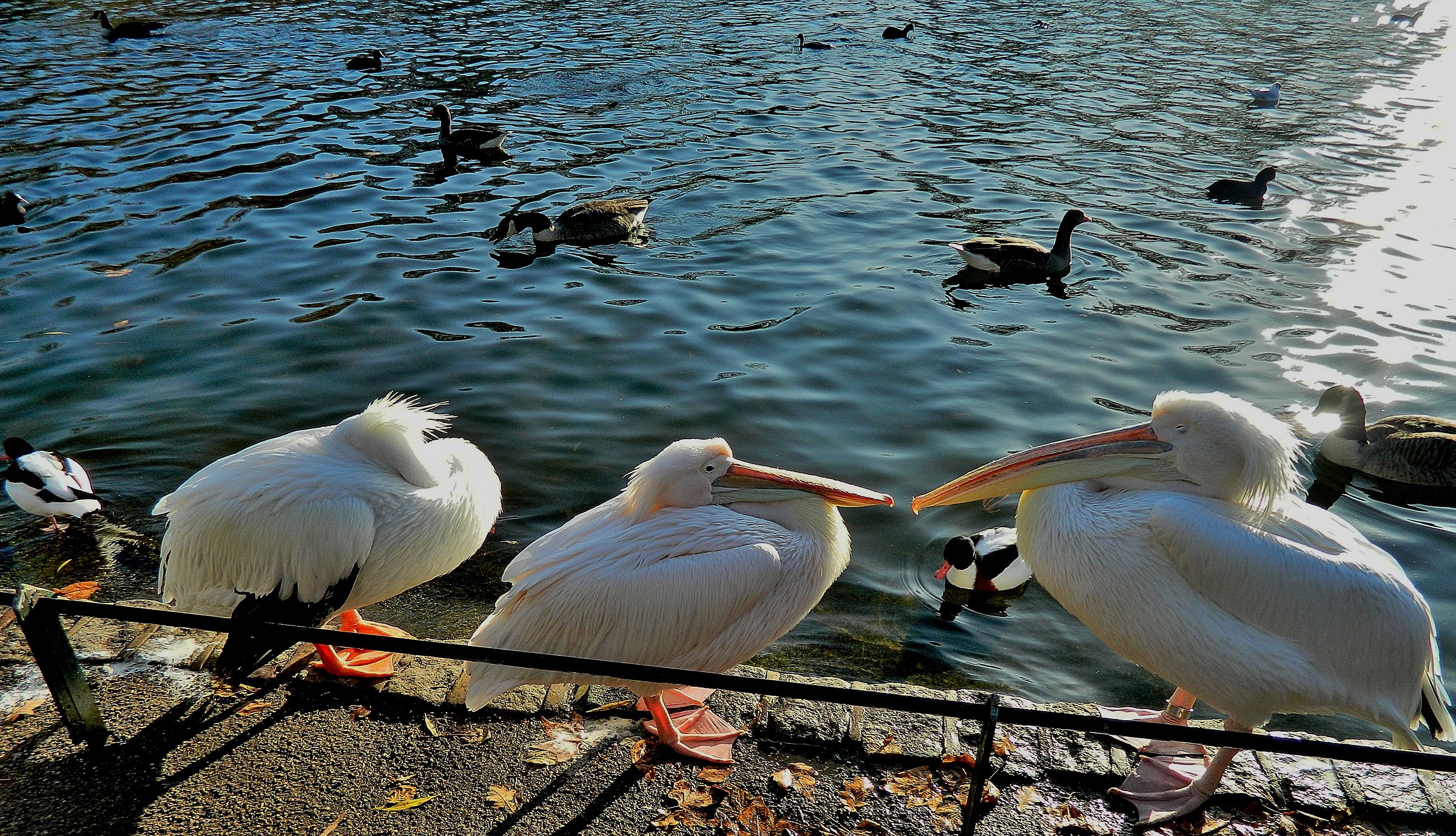 Baciami..non ci sta guardando