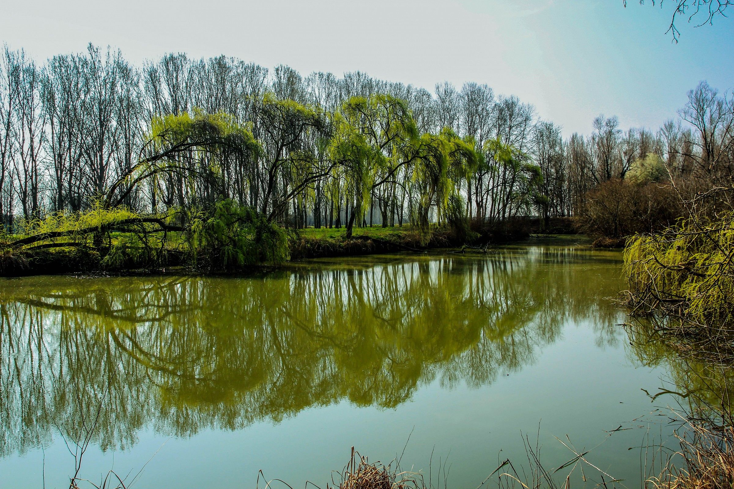Pond Montagnana