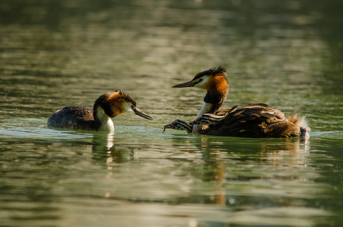 once you arrive at the first