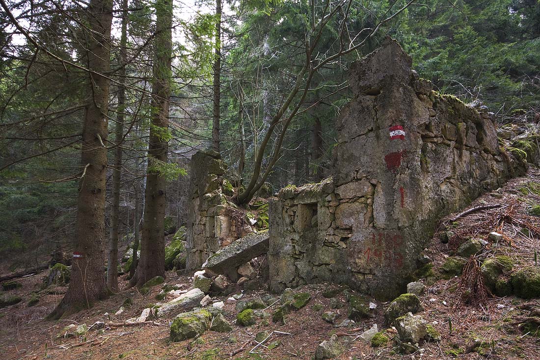 Ruderi del Baito delle Molesse