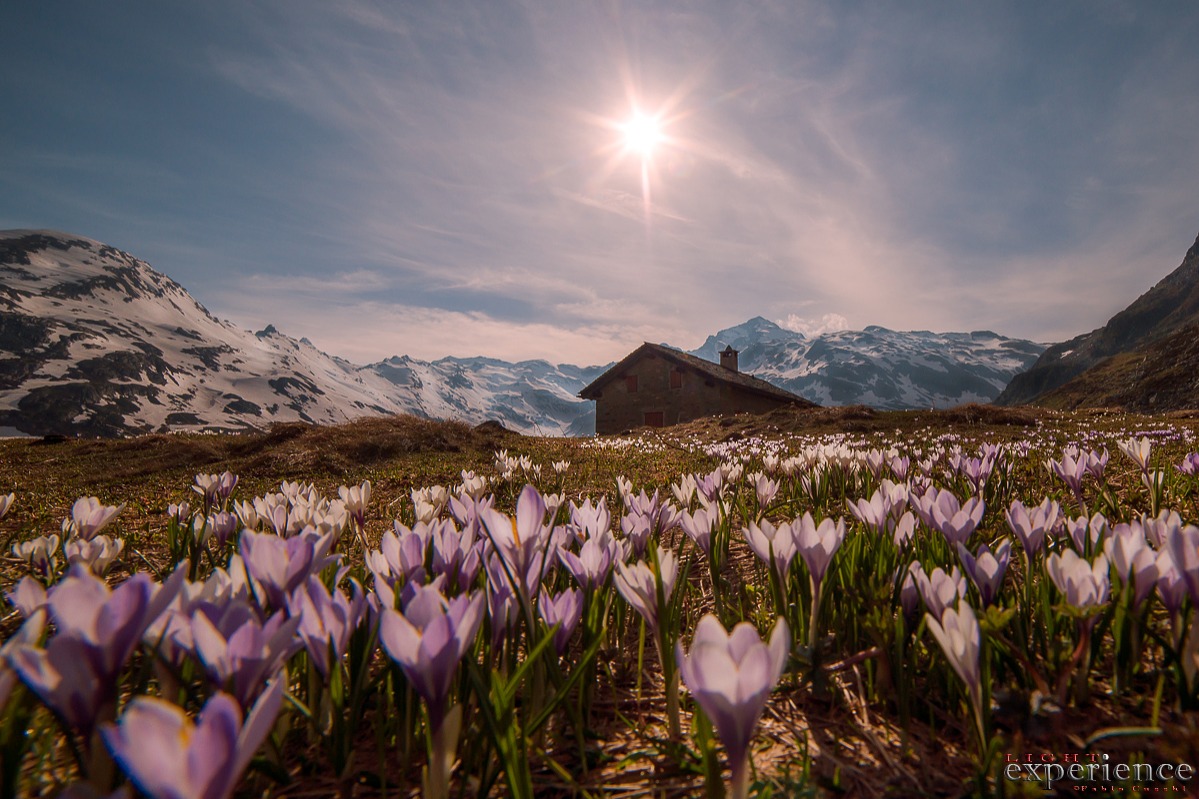 Segnali di Primavera