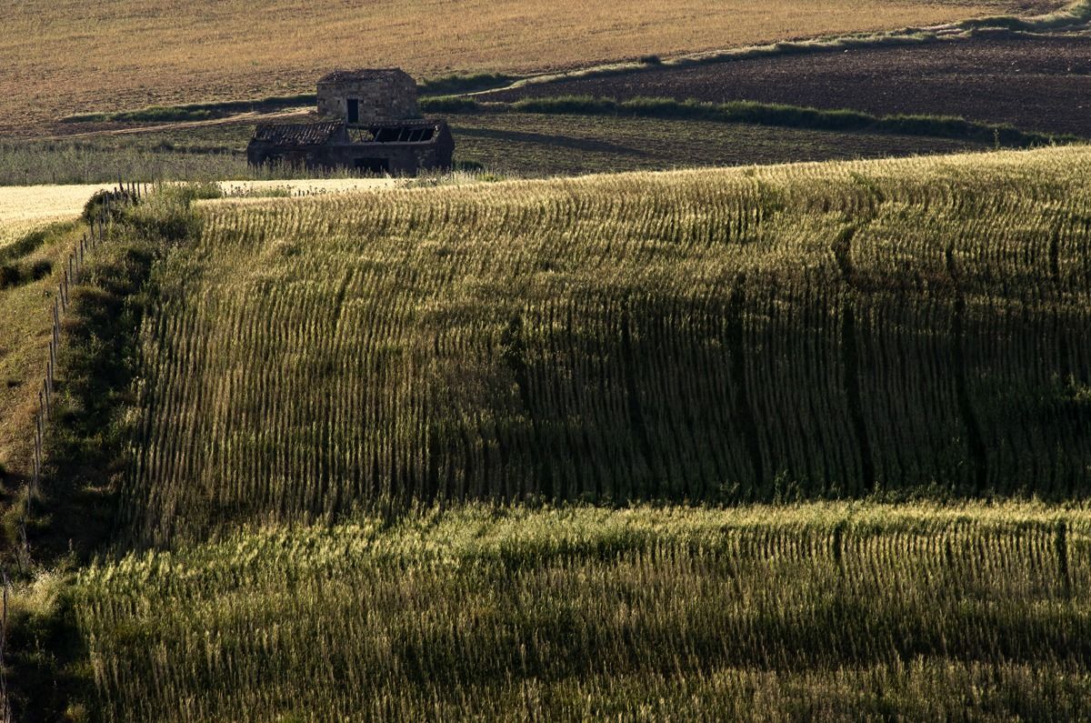 Sicilian afternoon 4