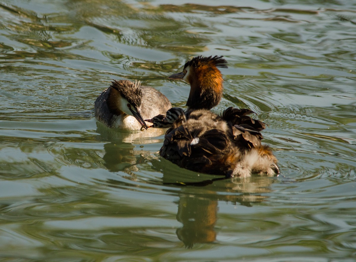 once you arrive at the first