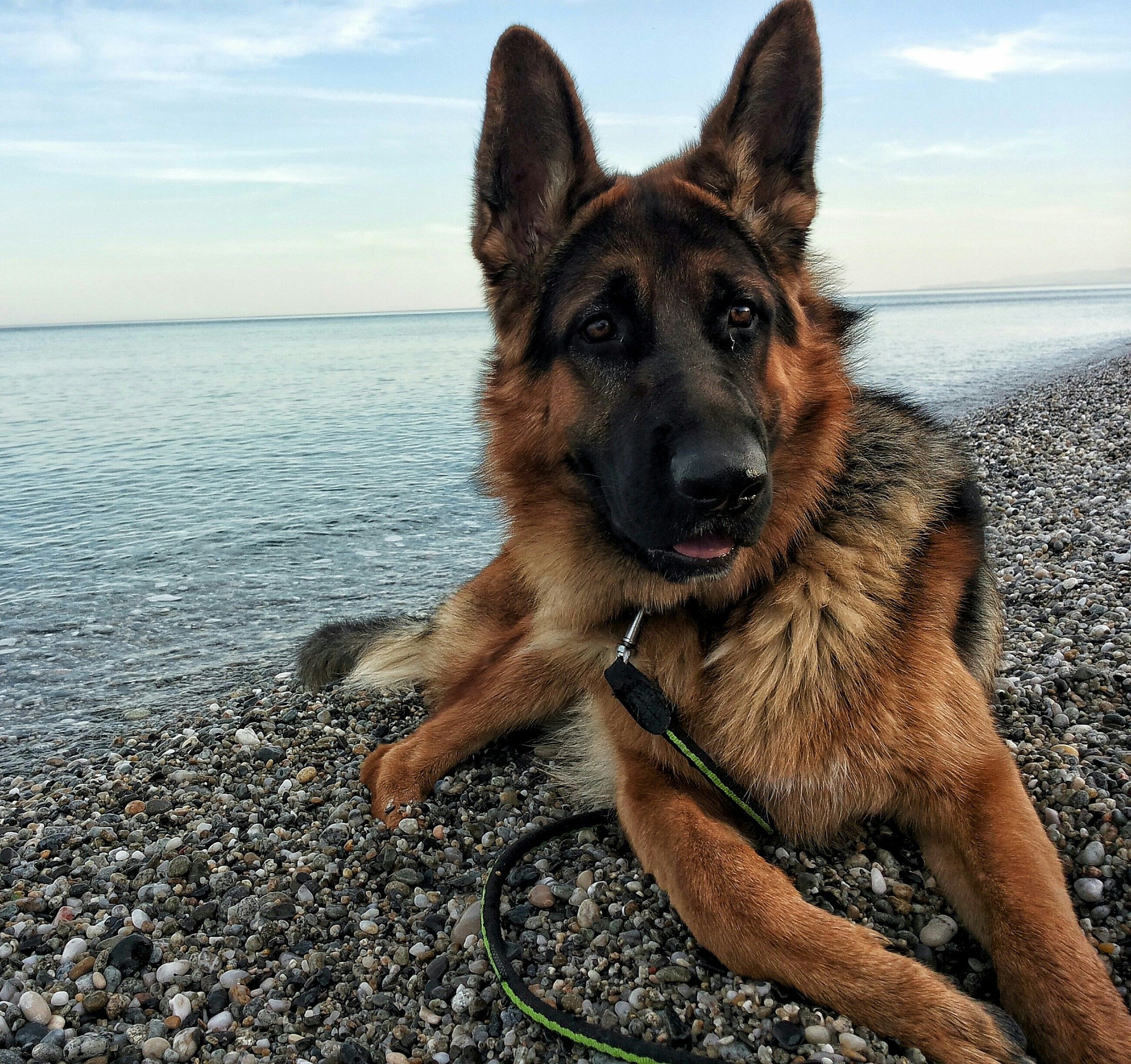 you and the sea are the 'immense ...