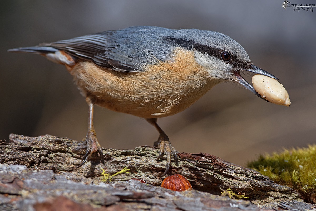 lunch with Mason ....