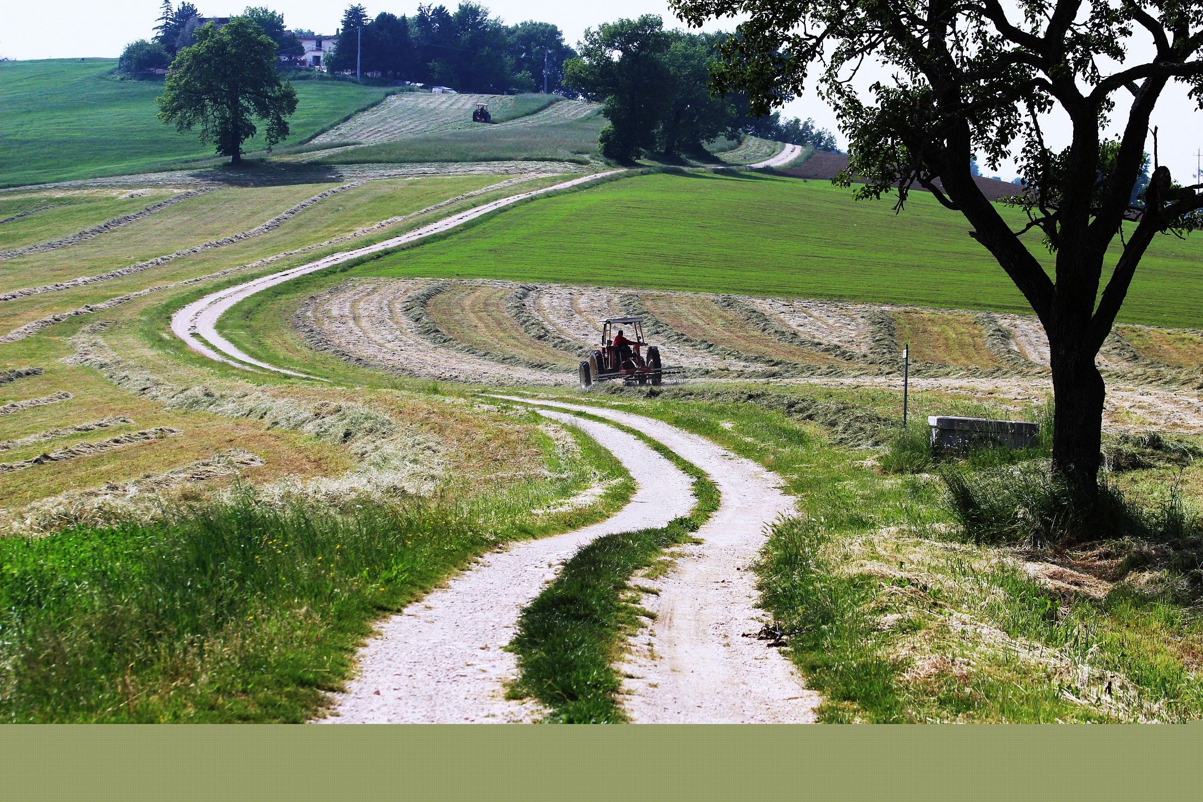Stradina di campagna