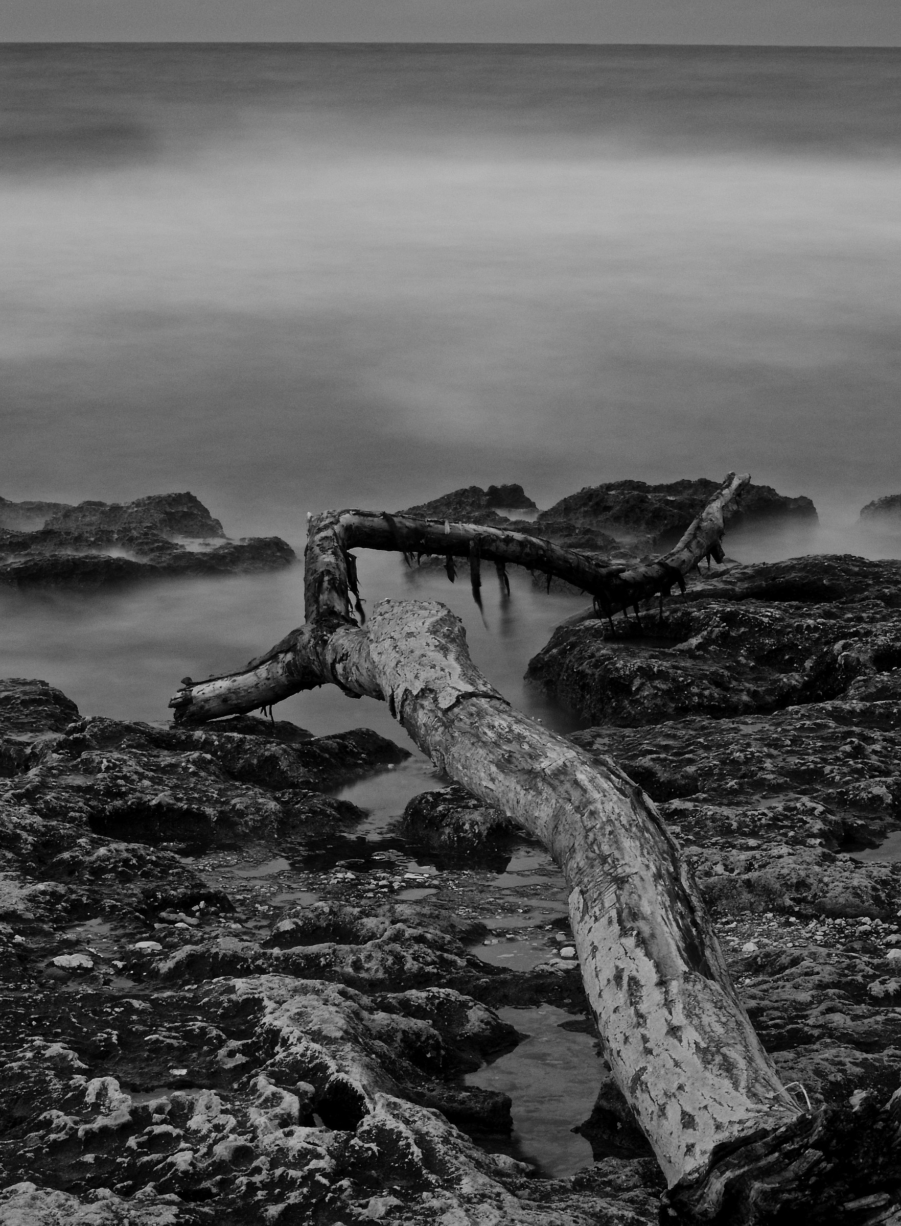 Still life on the Sea of ??Fog