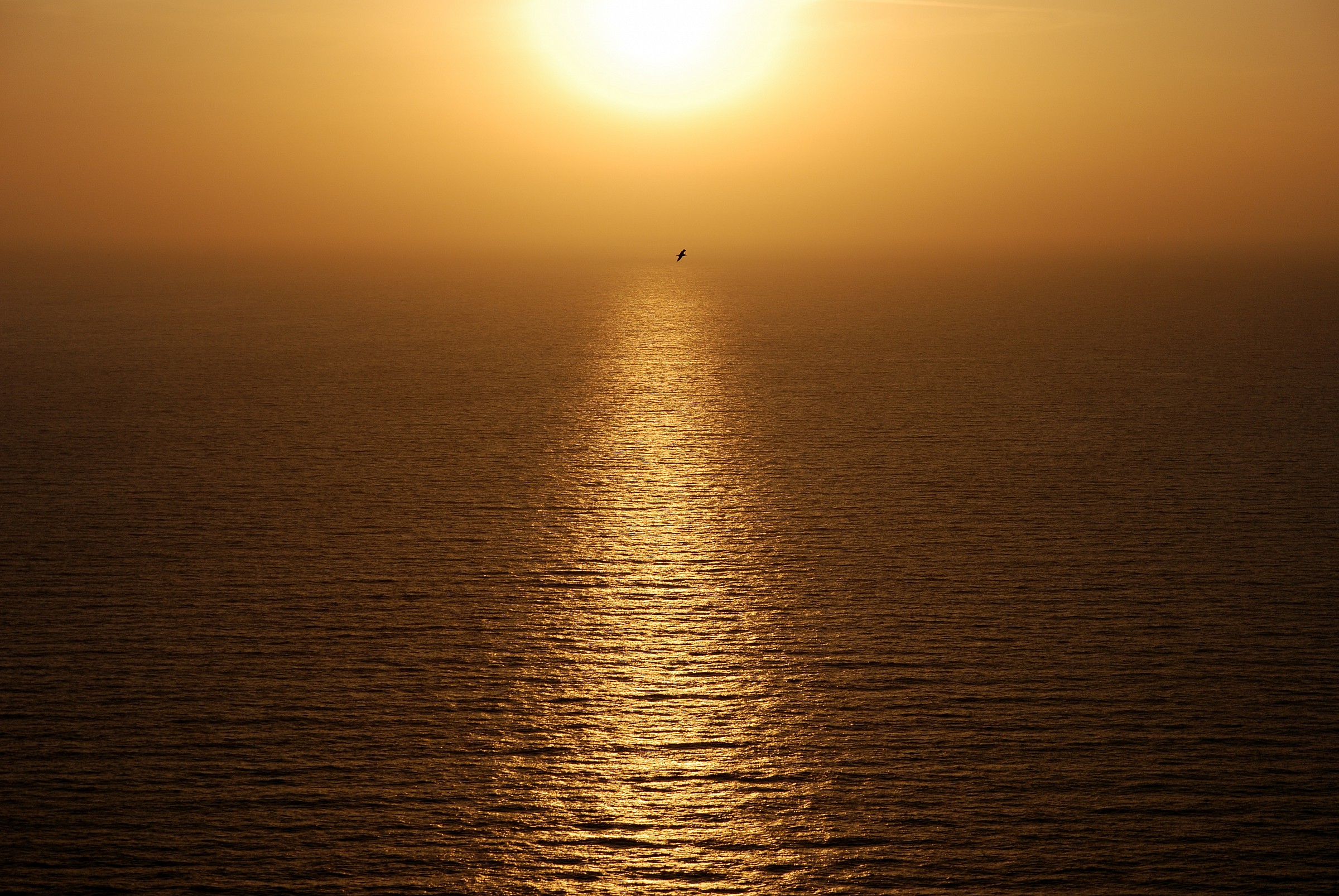 Jonathan Livingstone