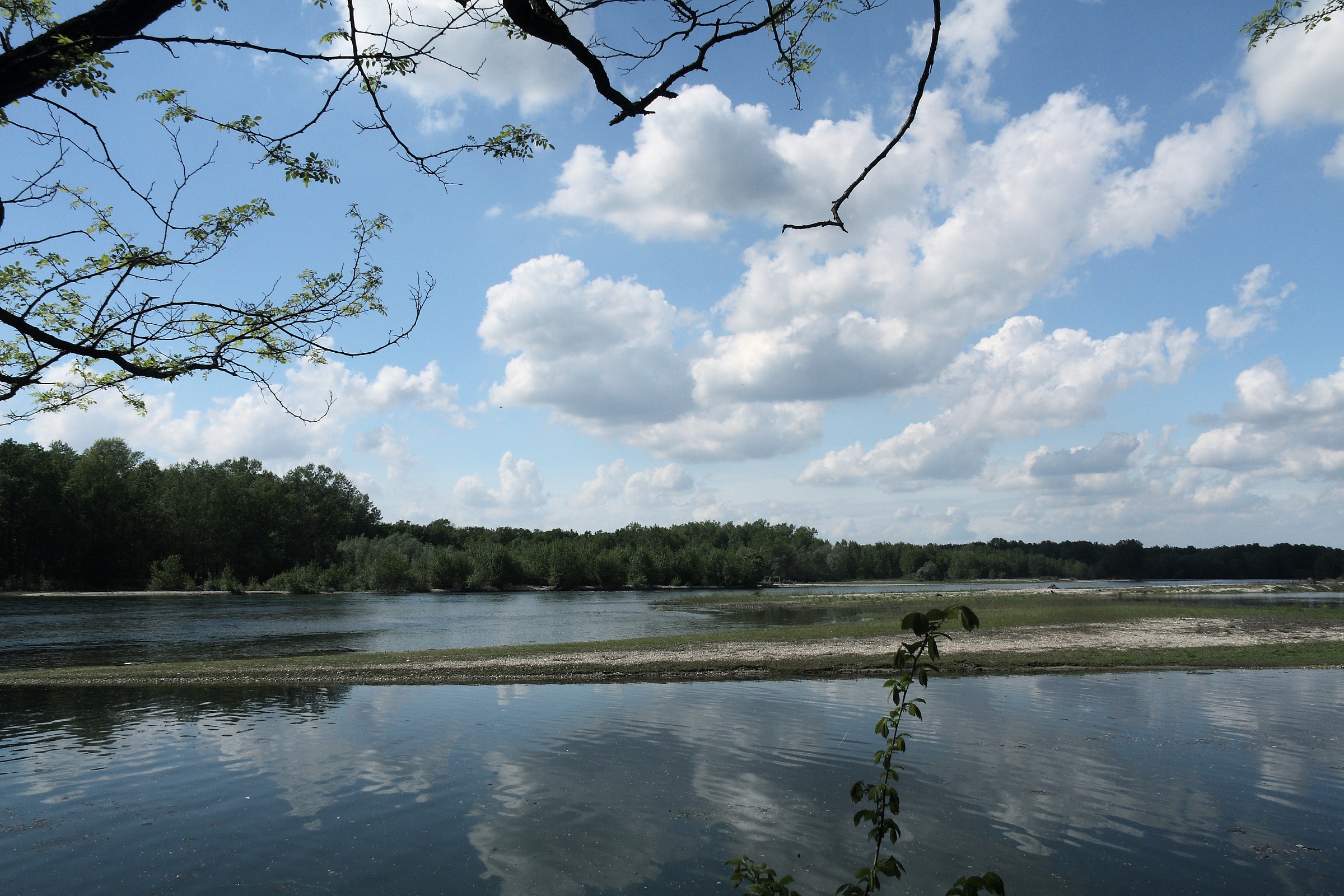 Beaches of Motta Visconti