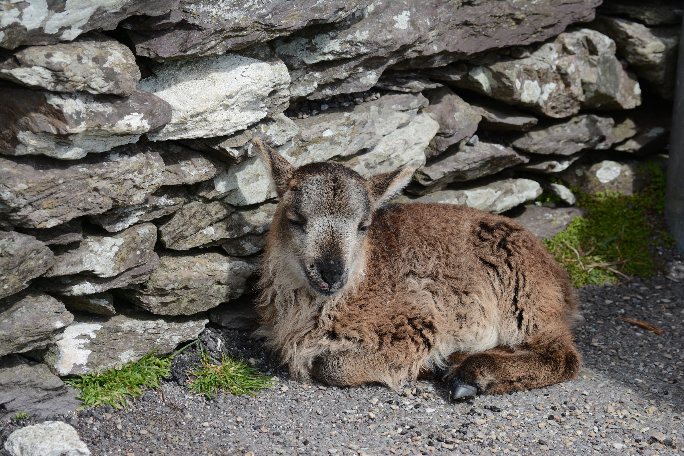 Per un aiuto turistico