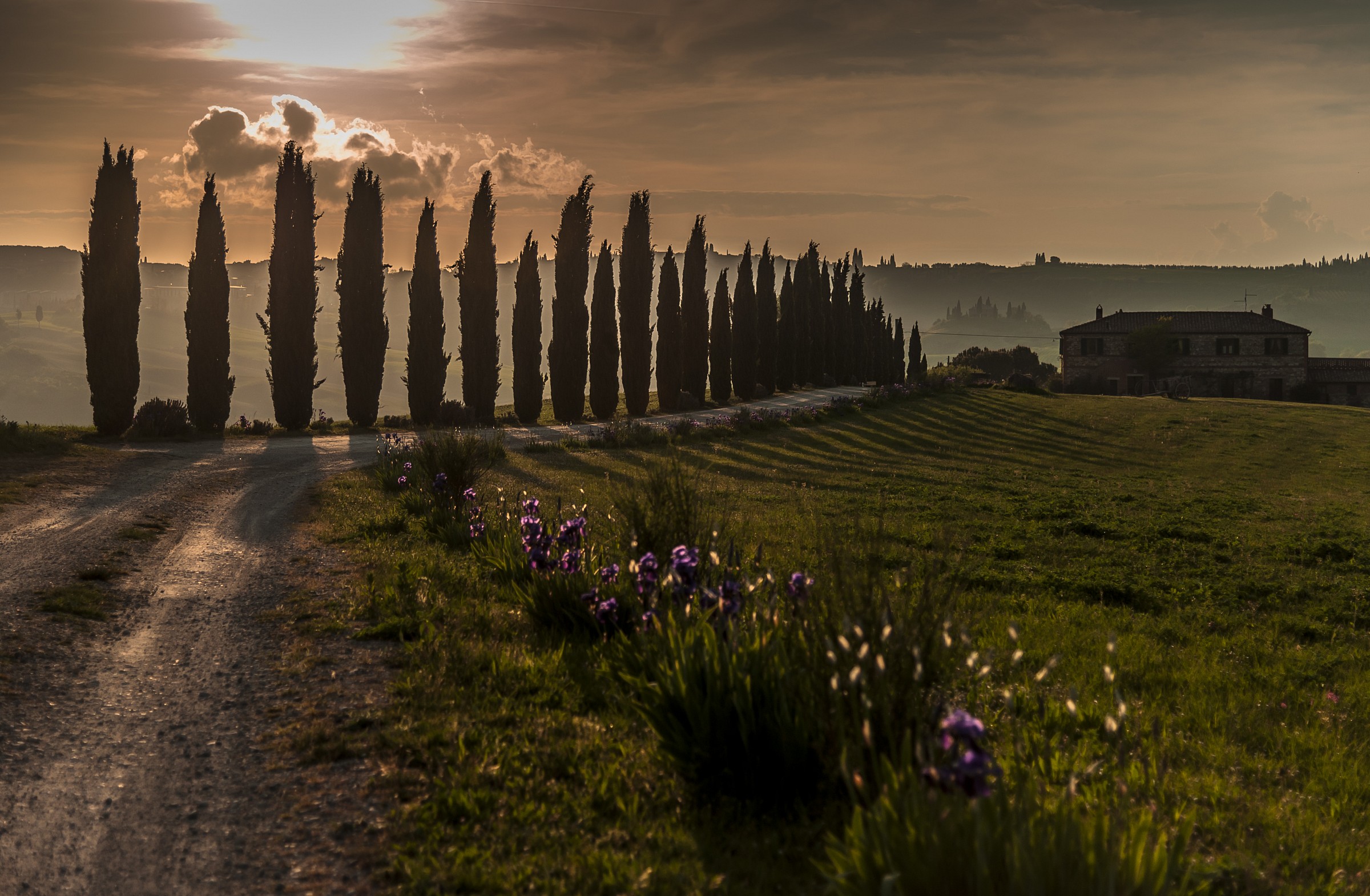 sunset on Orcia's Valley....(tramonto in Val d'Orcia...