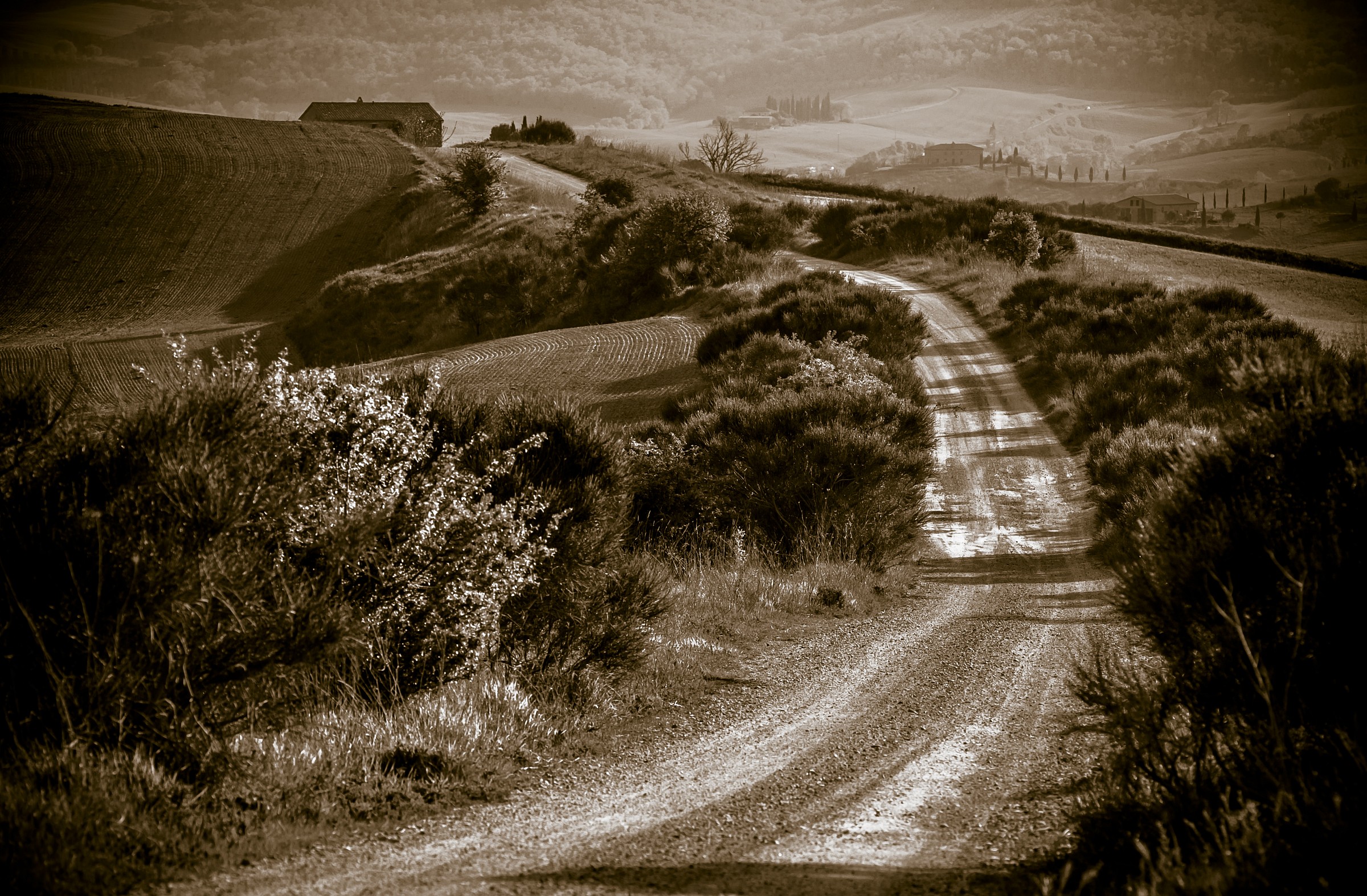 Monochromatic Wiew from Orcia's Valley