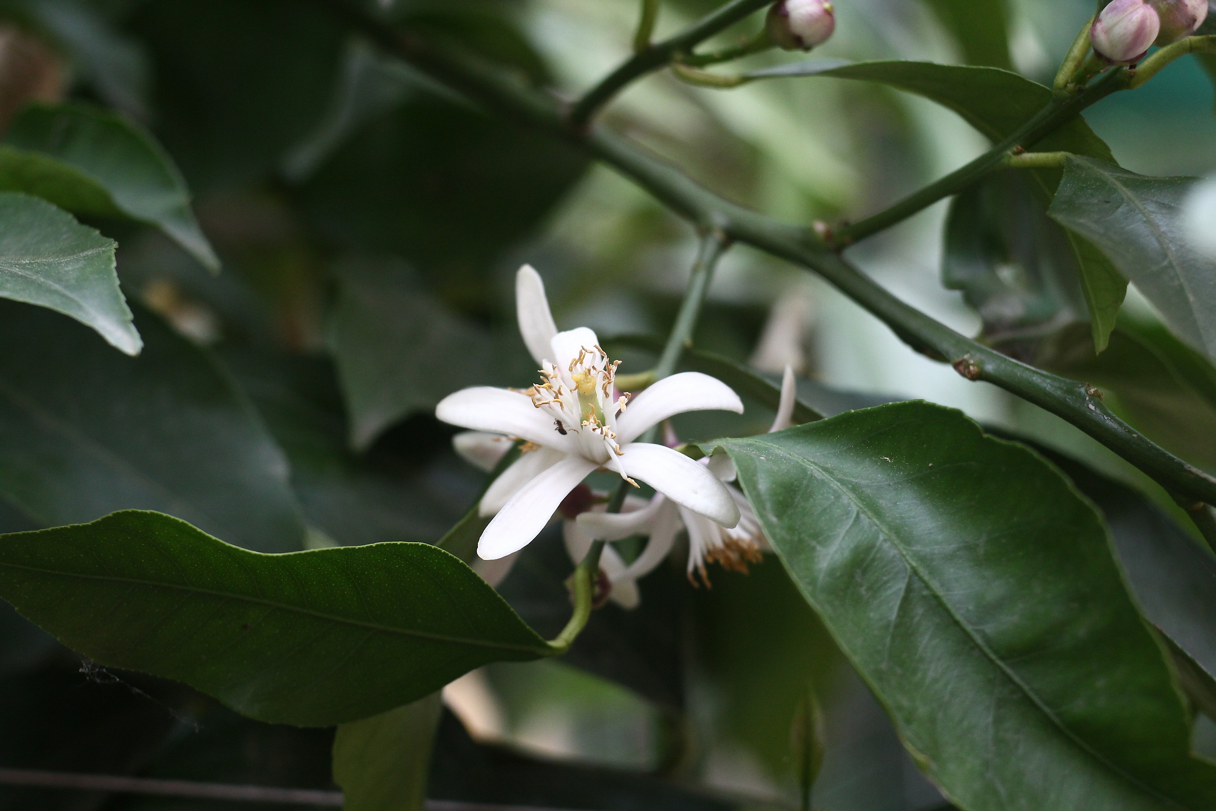 f / 2.8 ISO200 125 / sec