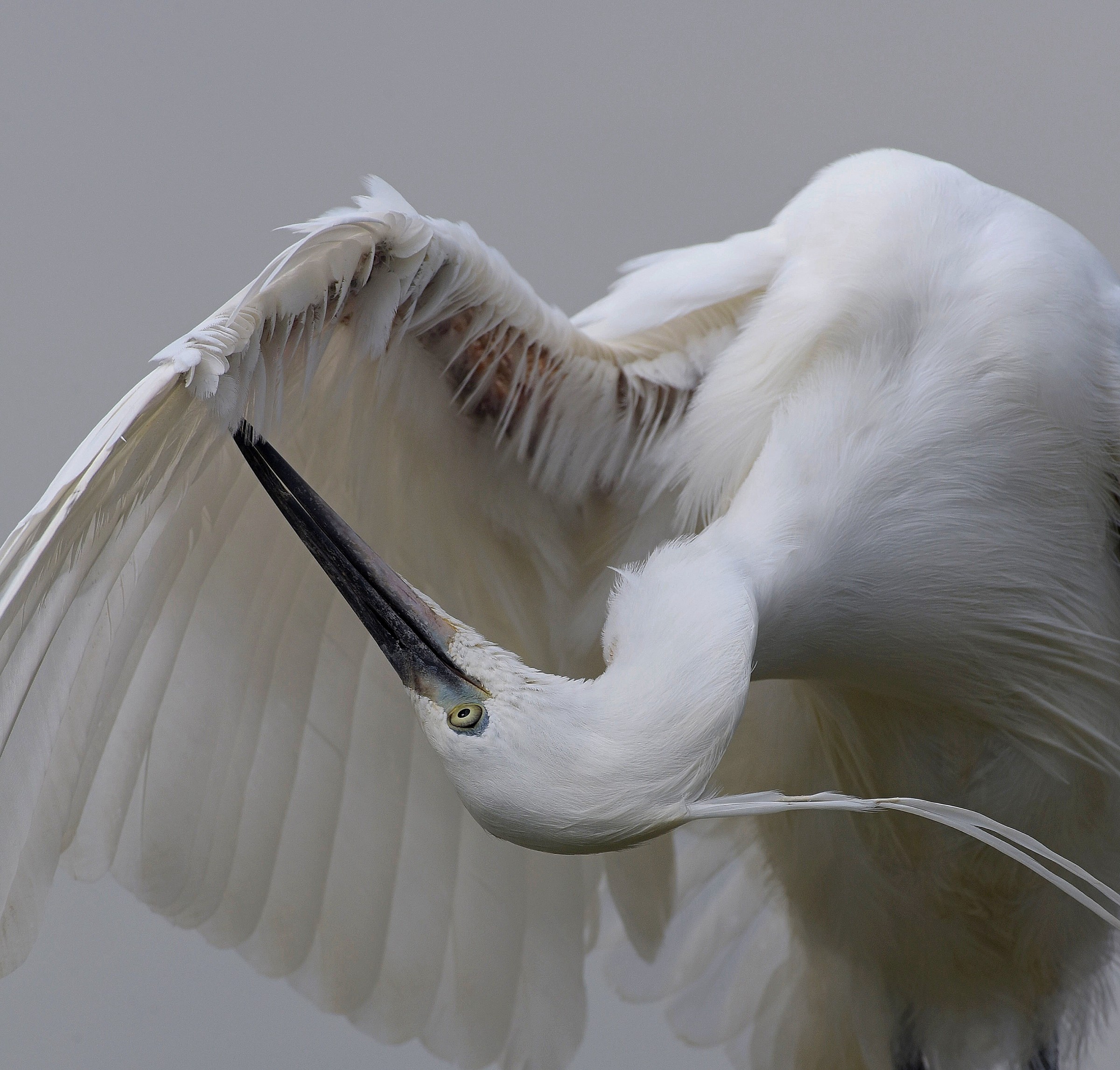 Manutenzione accurata!