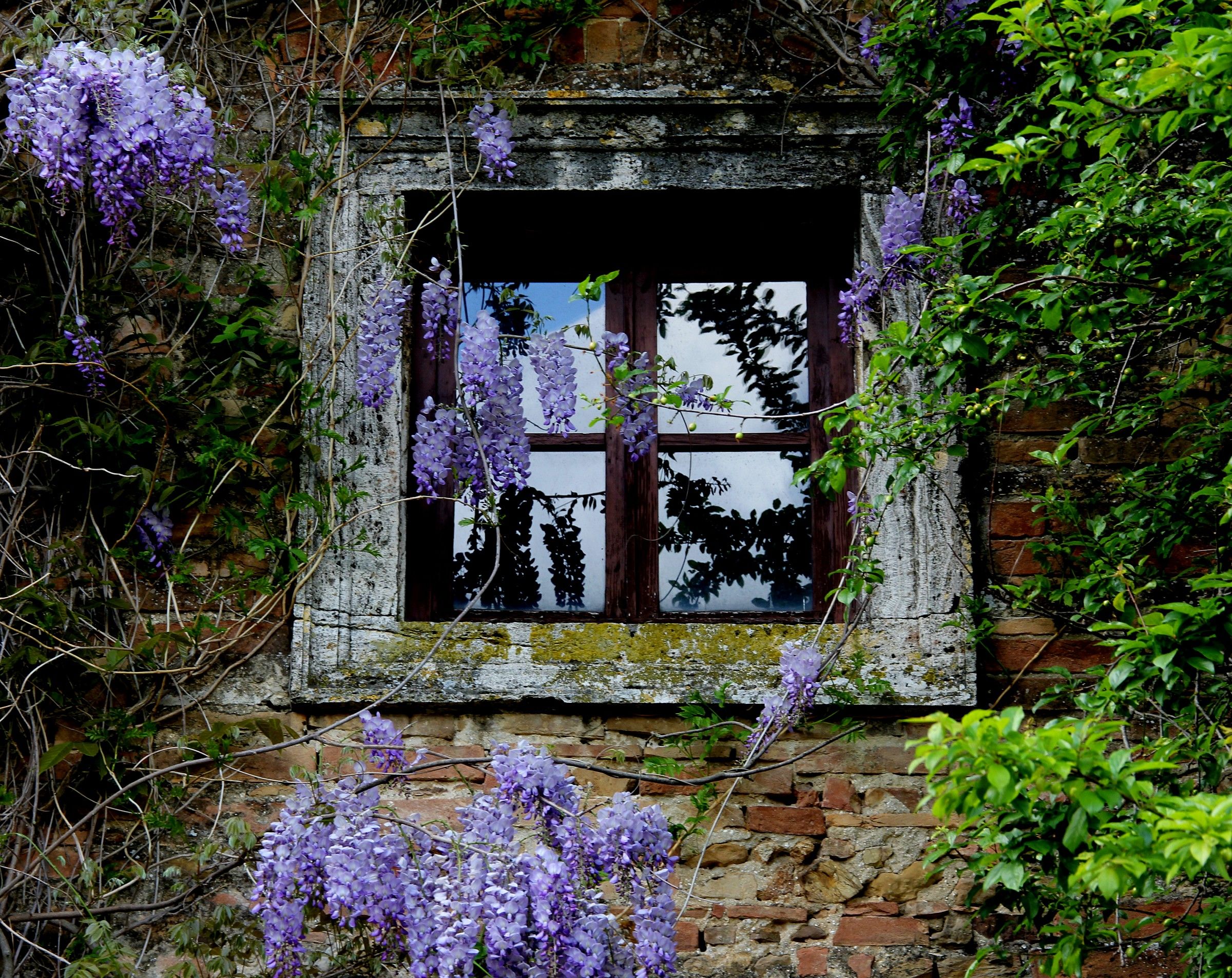 La finestra nascosta