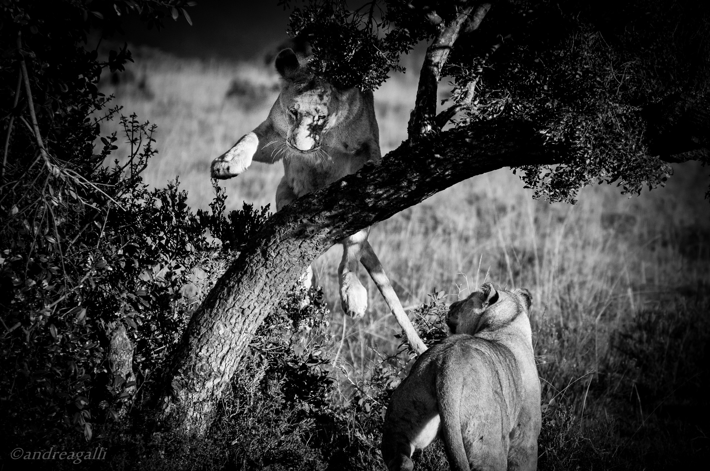 ginnastica mattutina