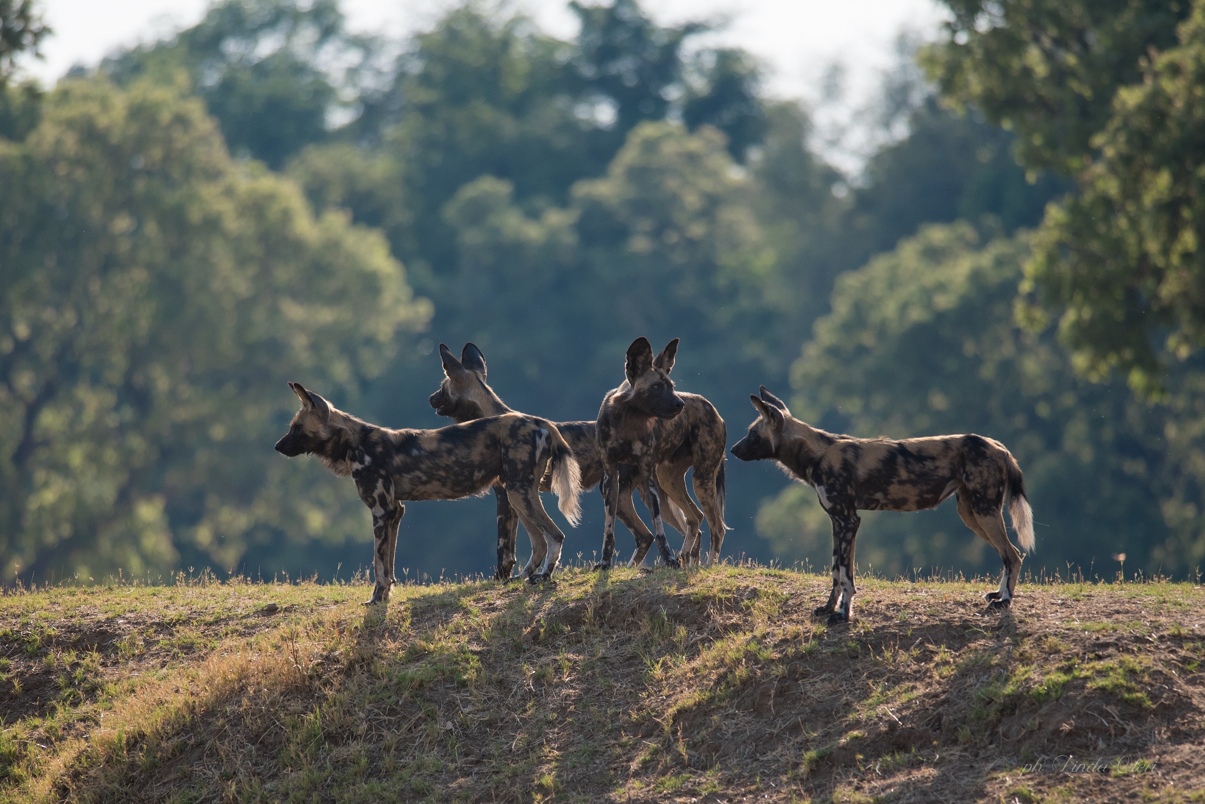 You see here that I look beyond