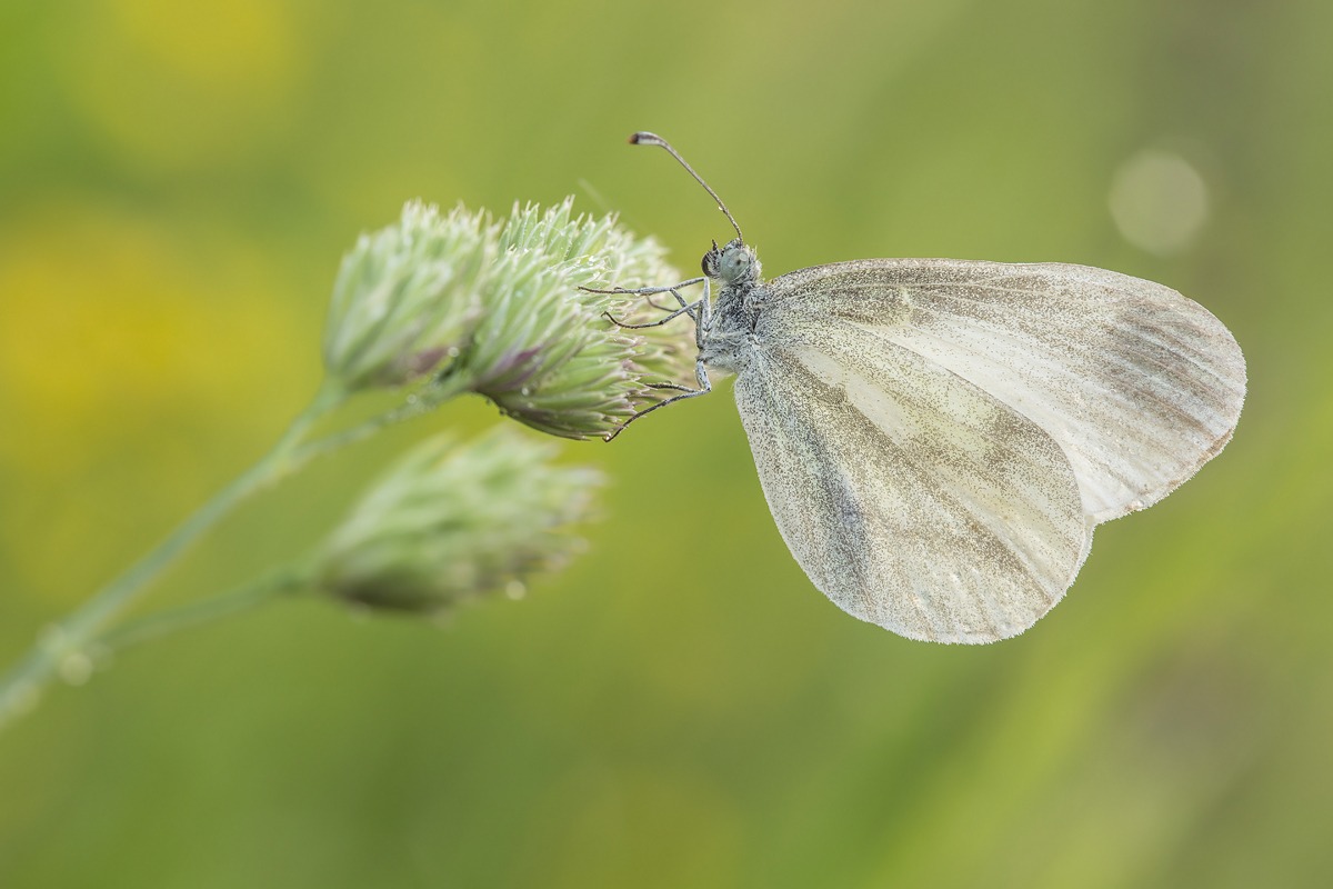 Una dolce mattina...
