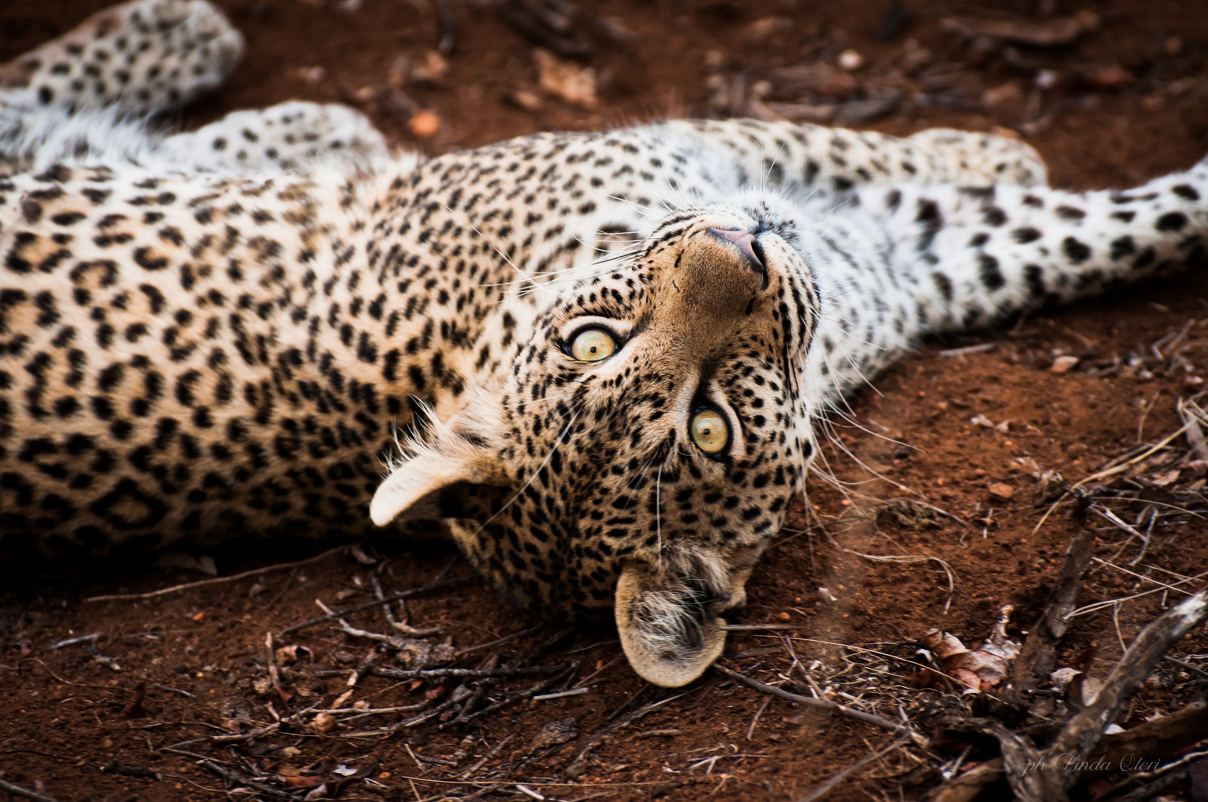 I hypnotized in an instant