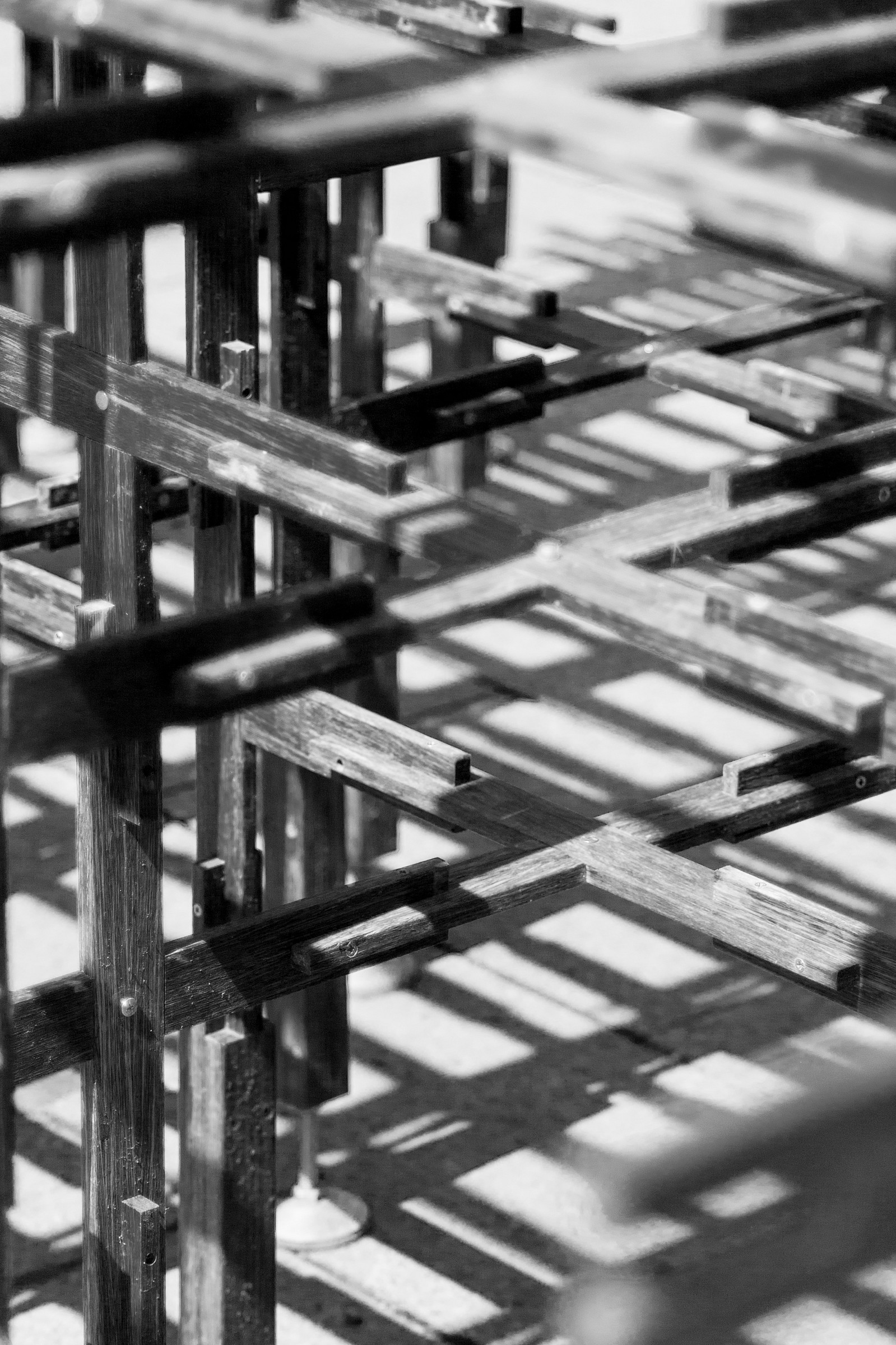 A Myriad of Crosses !!