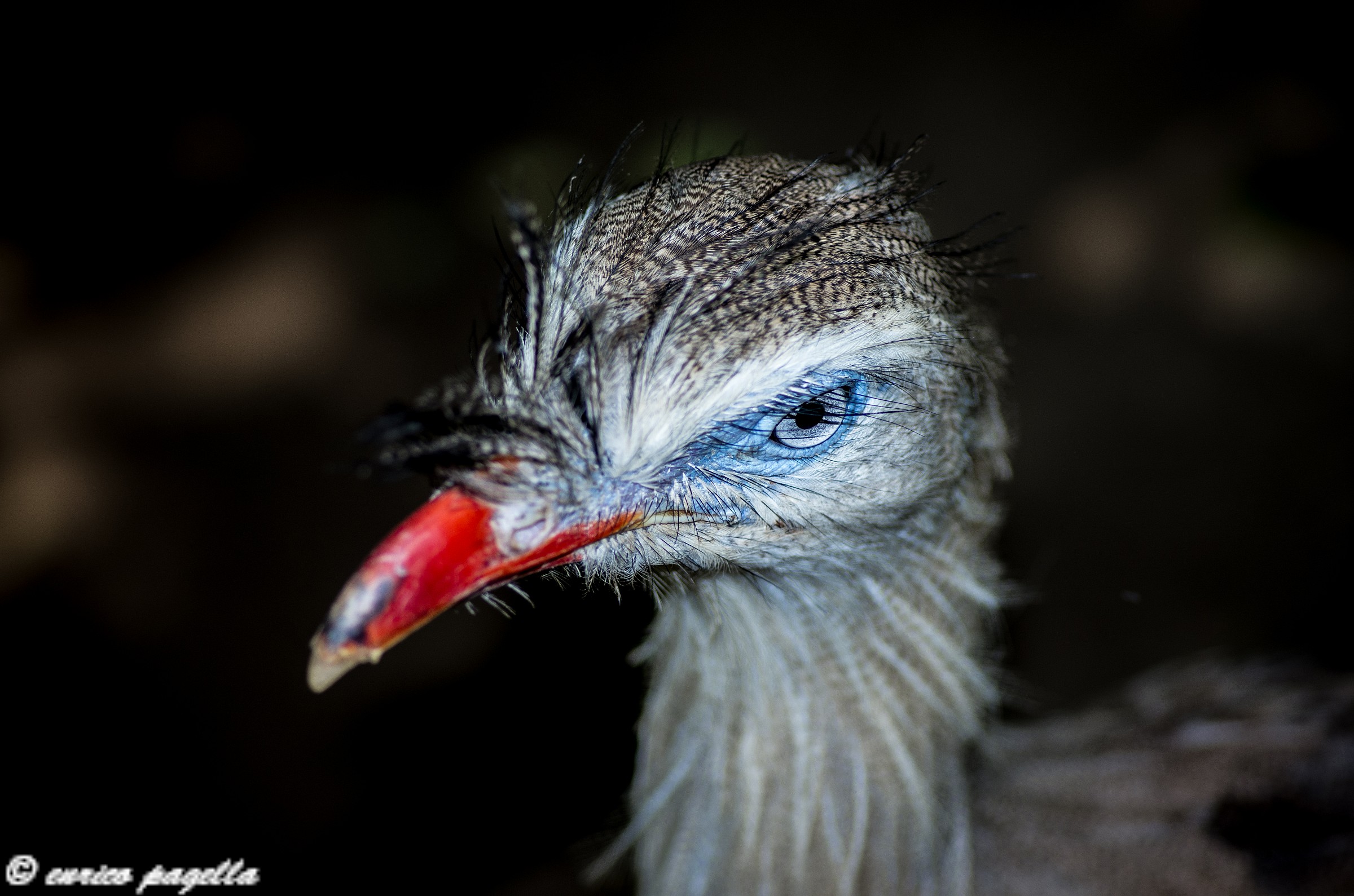 I am remade the trick !!!