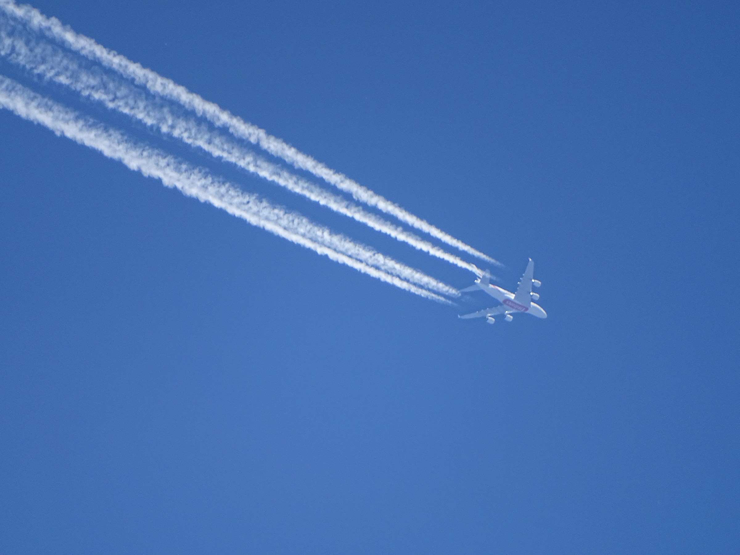 che bello zummolo...