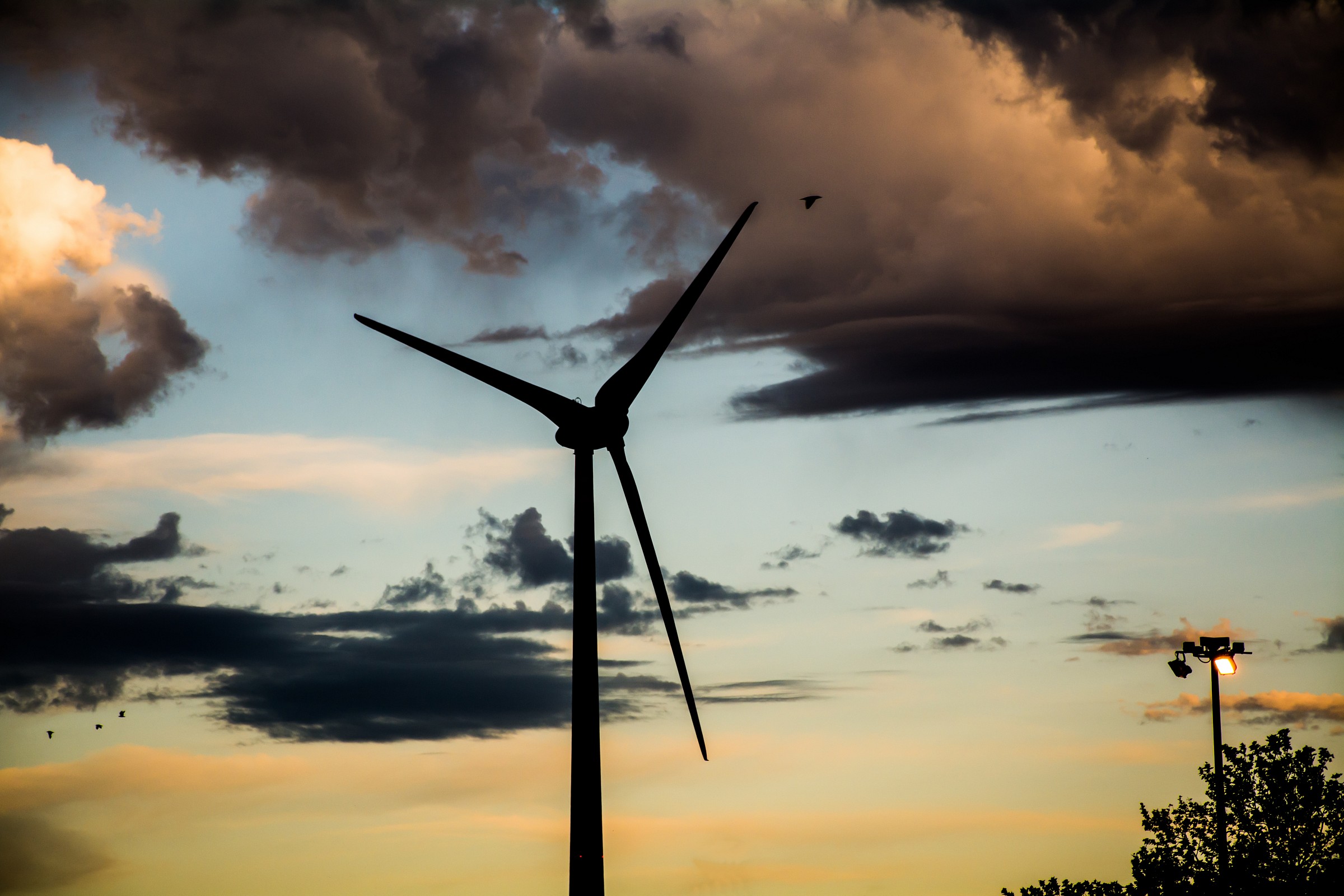 Dal produttore al consumature