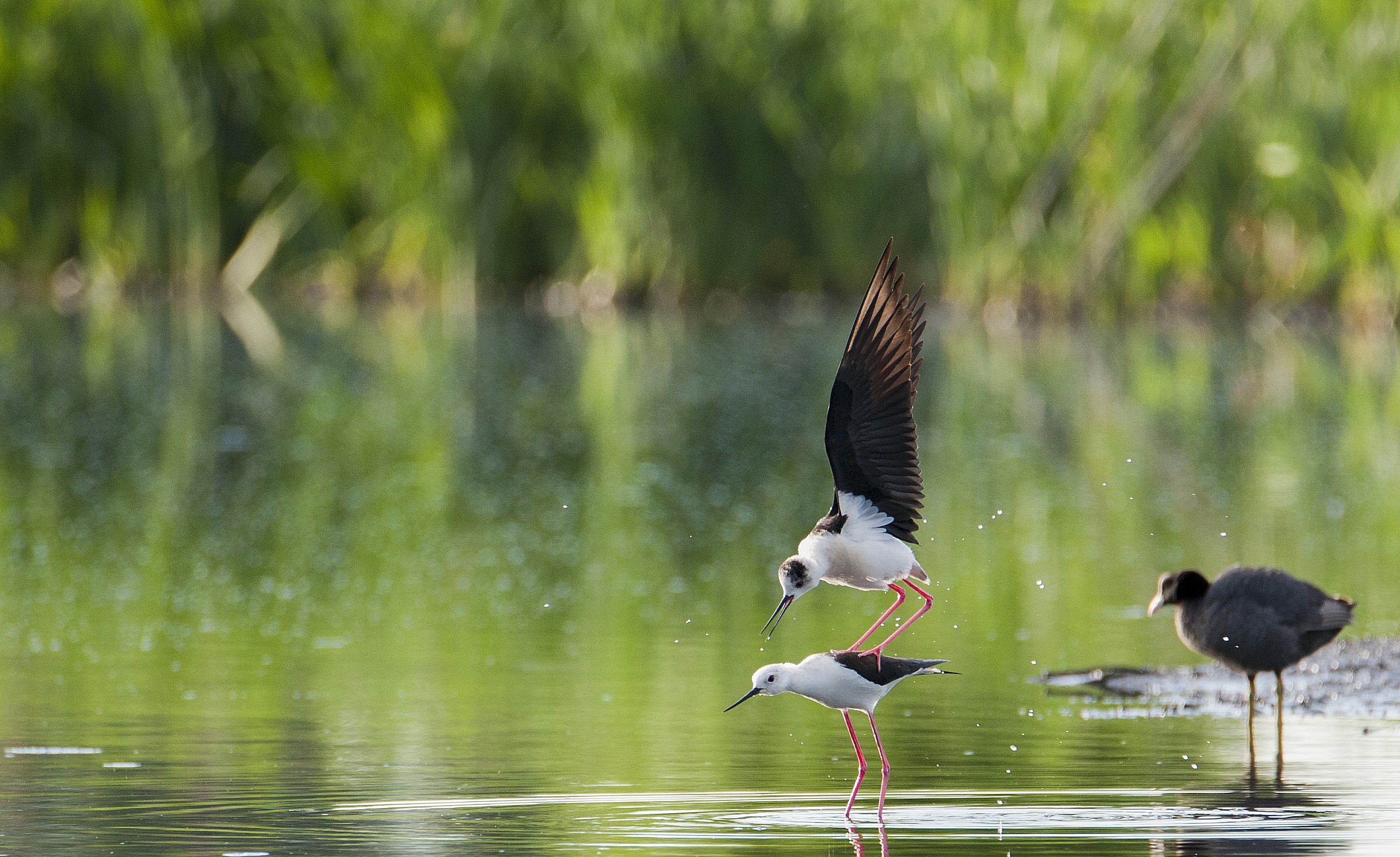 Un pò più che amici ..