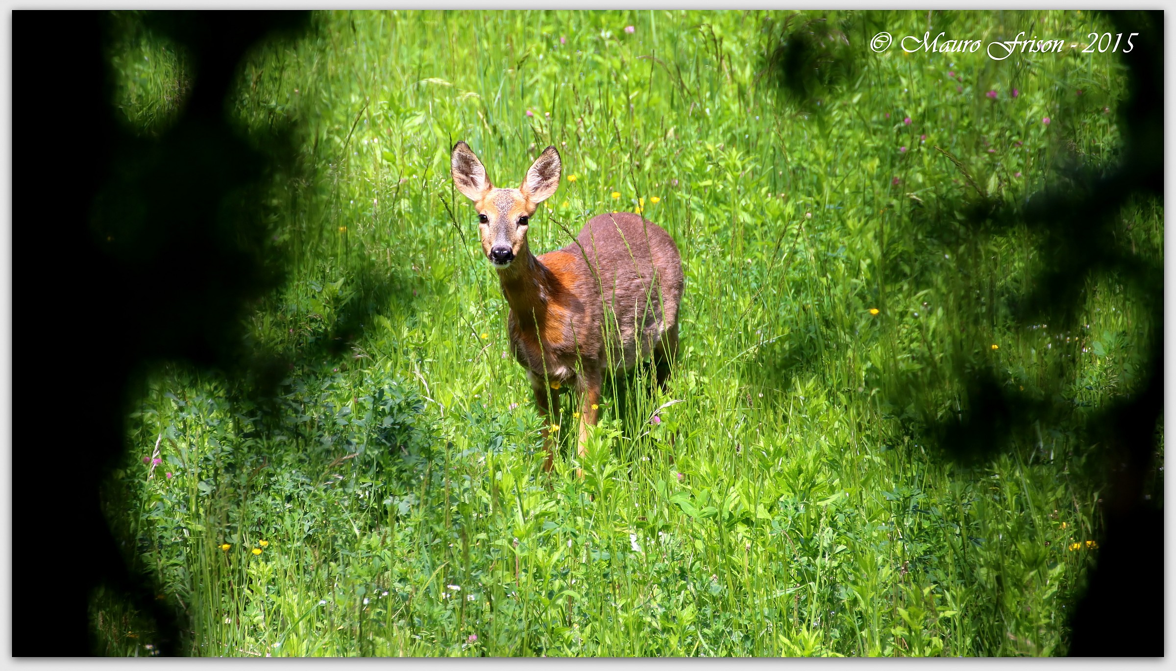 Quiet, do not be afraid! I just want to take pictures